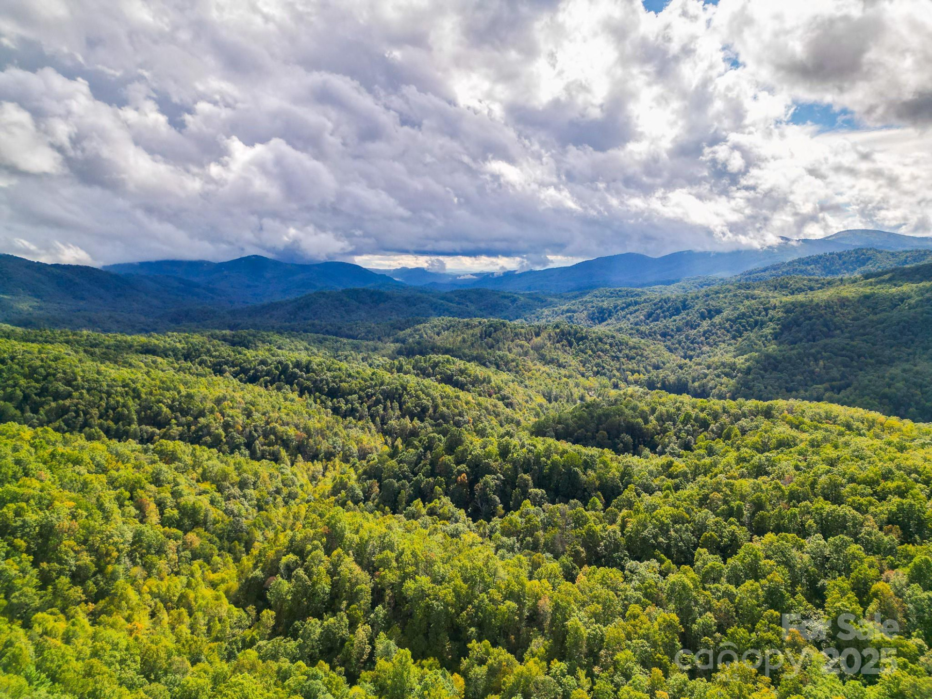 99999 Forest Brook Drive - Photo 6