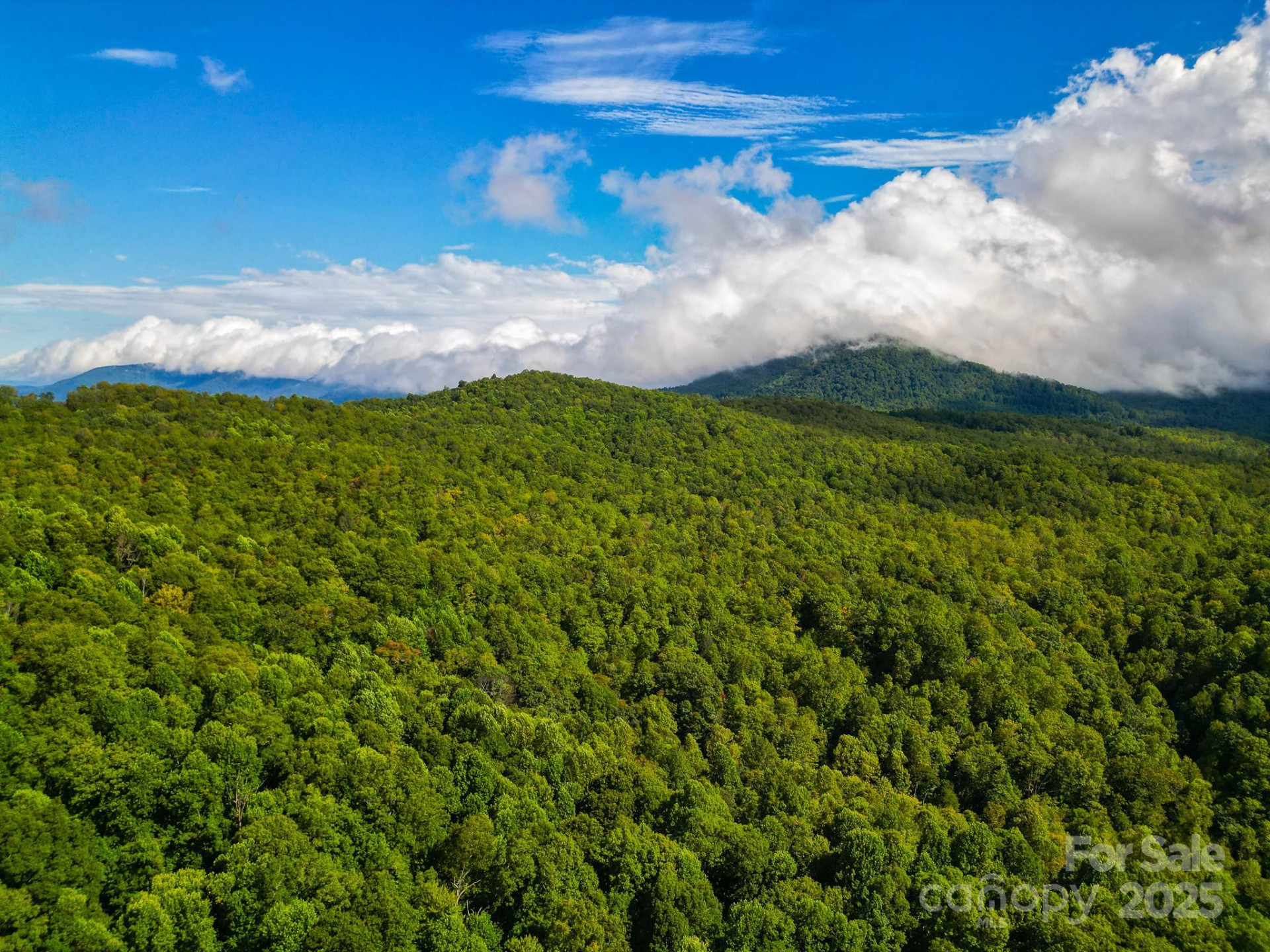 99999 Forest Brook Drive - Photo 7