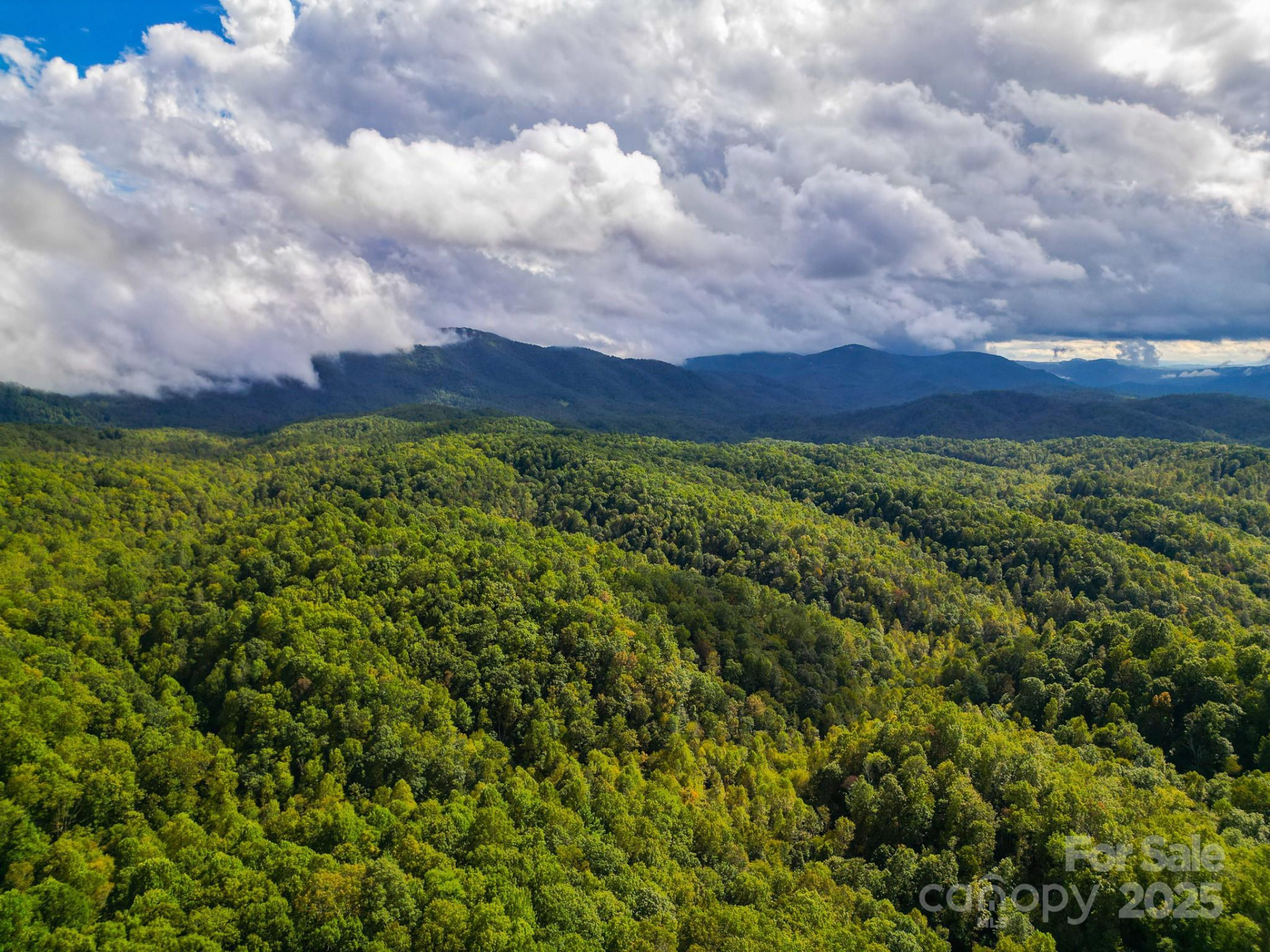 99999 Forest Brook Drive - Photo 8