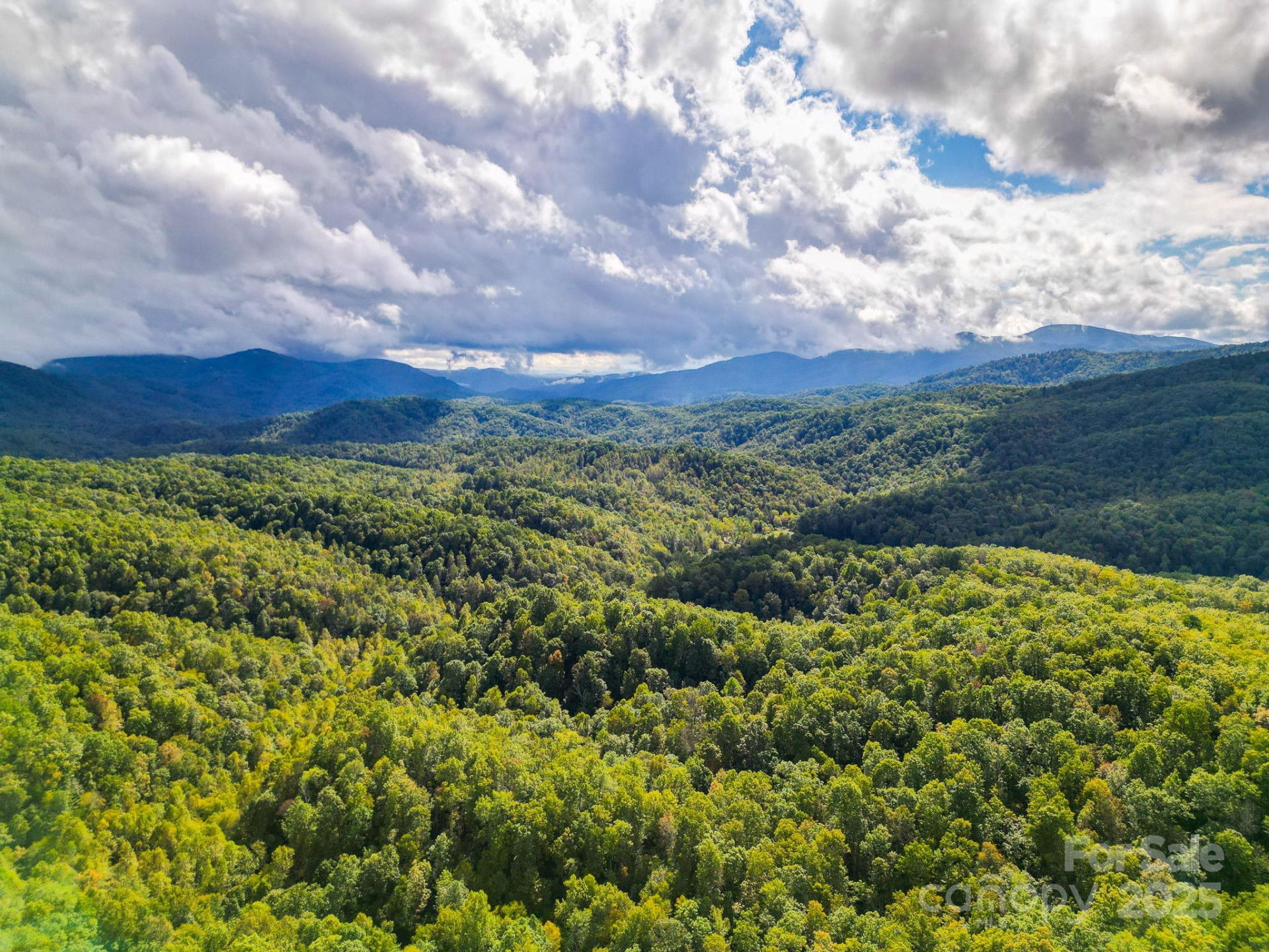 99999 Forest Brook Drive - Photo 9