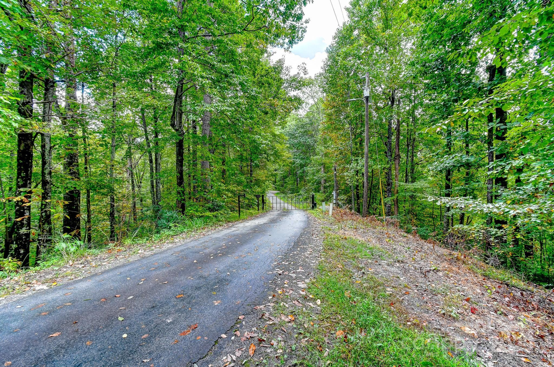 99999 Forest Brook Drive - Photo 10