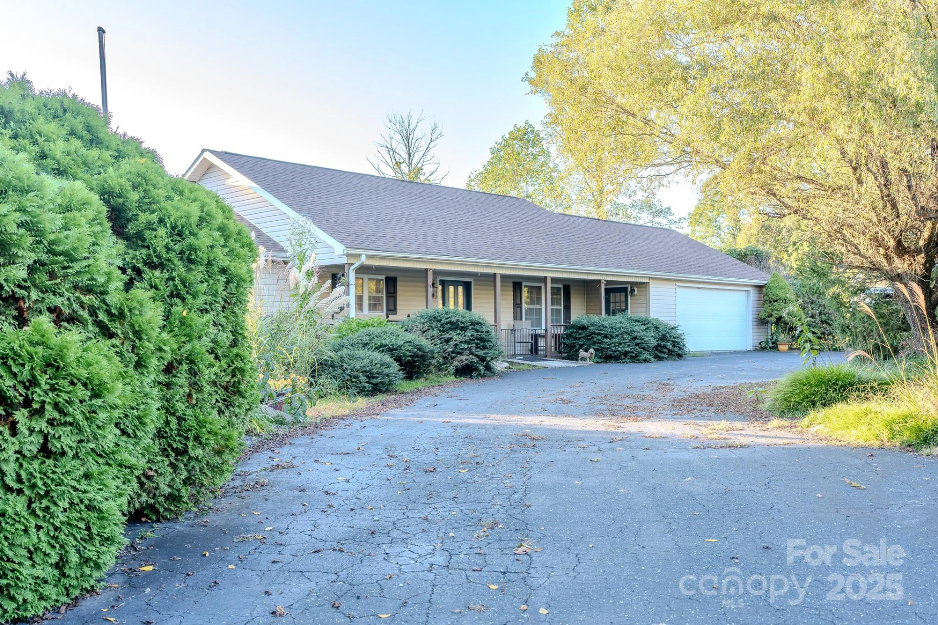 565 Overlook Drive - Photo 3