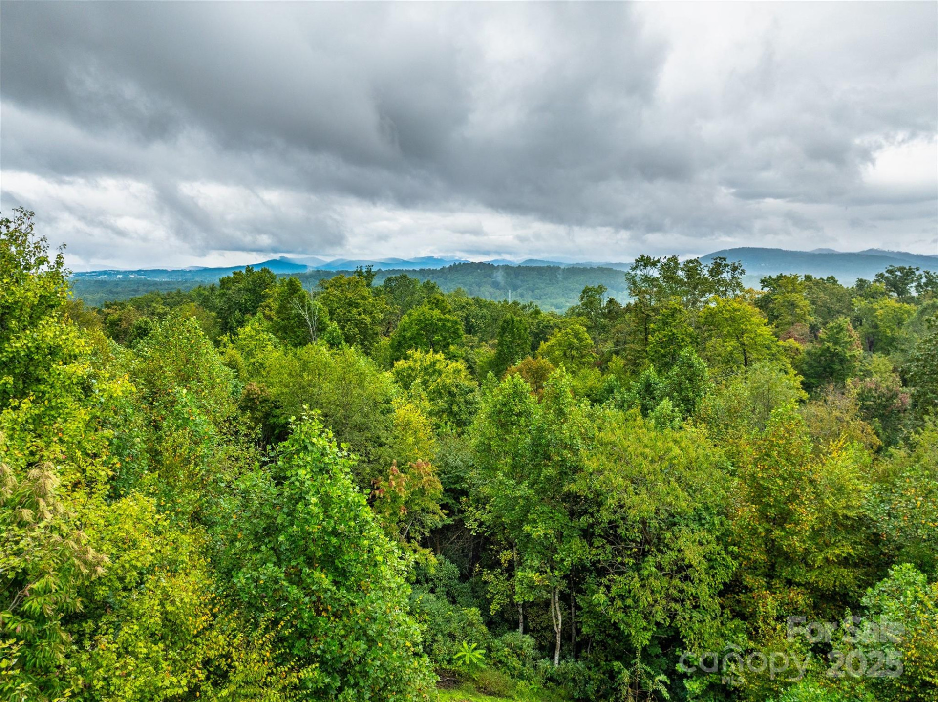 332 Millbrae Loop - Photo 12