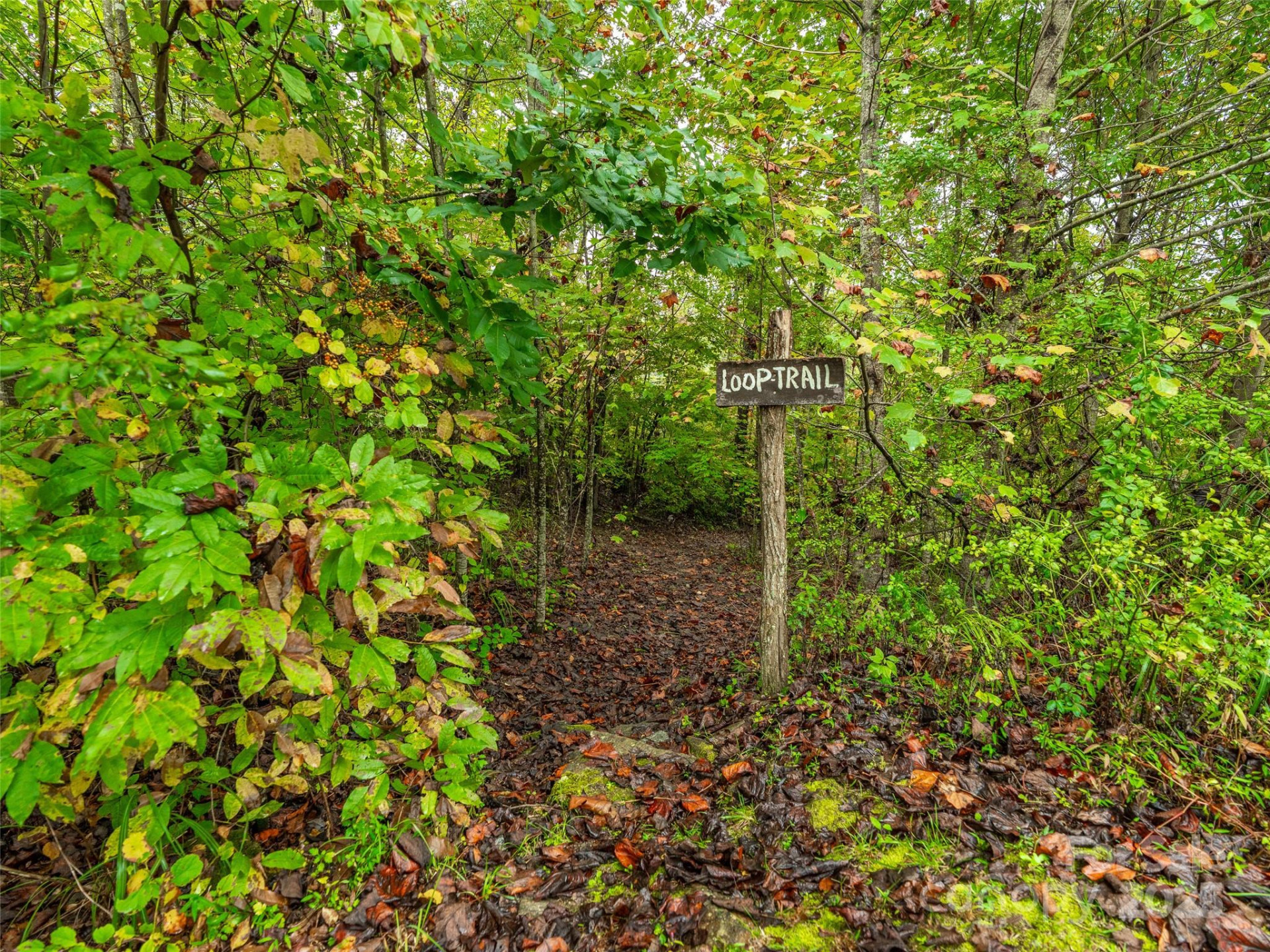 332 Millbrae Loop - Photo 6