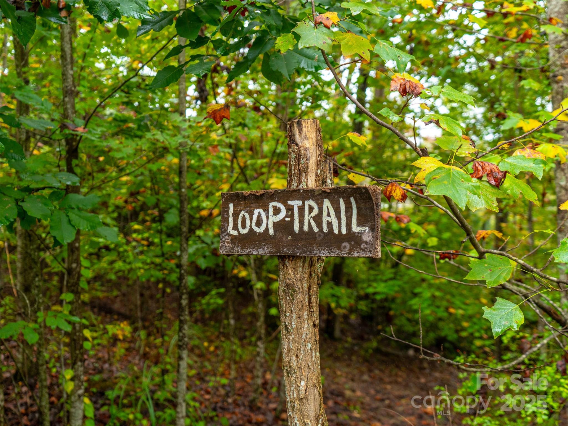 332 Millbrae Loop - Photo 7