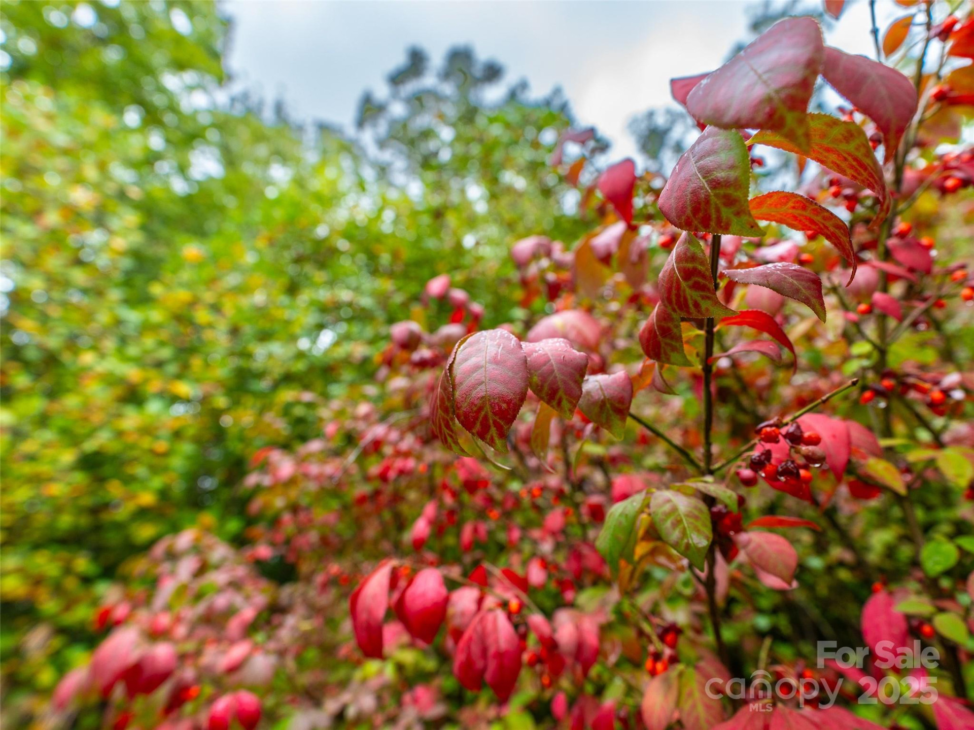 332 Millbrae Loop - Photo 10