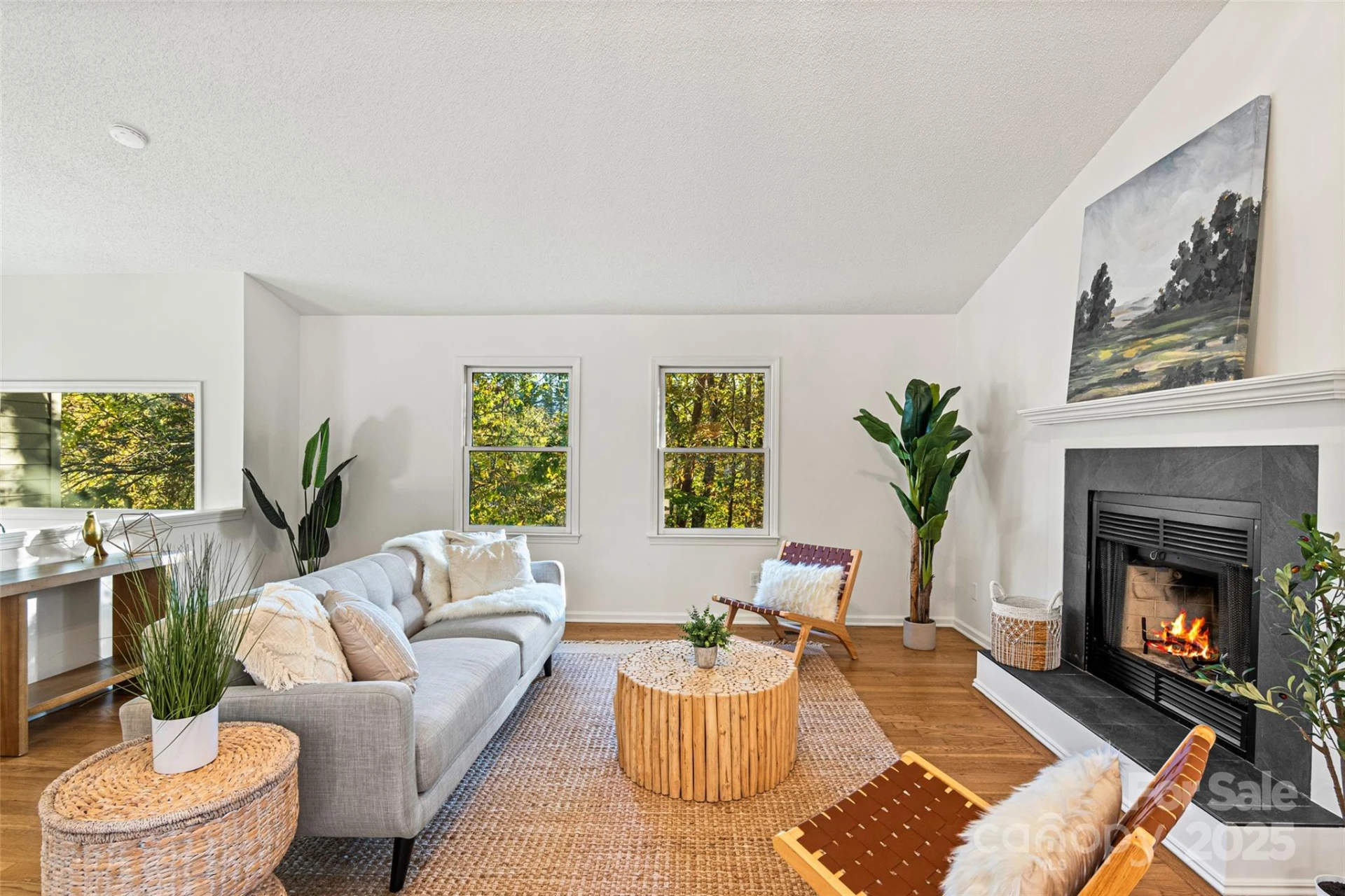 10 Evening Shade Drive - Photo 8