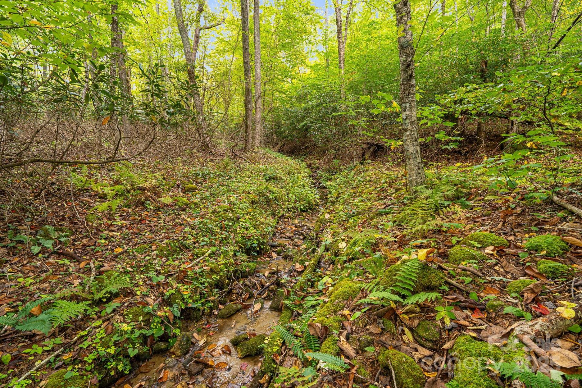 191 Ivy Way - Photo 37