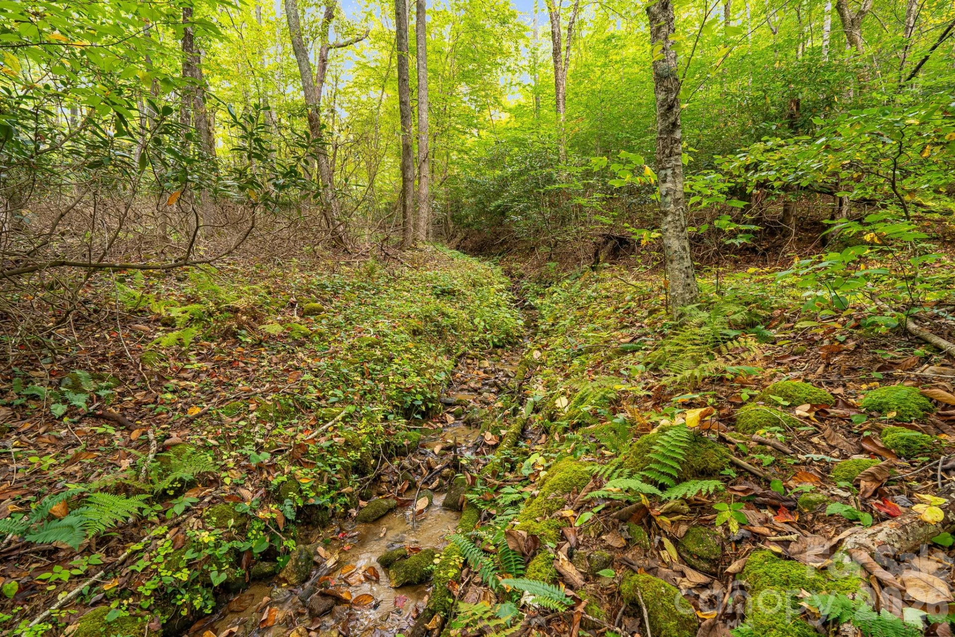 191 Ivy Way - Photo 37