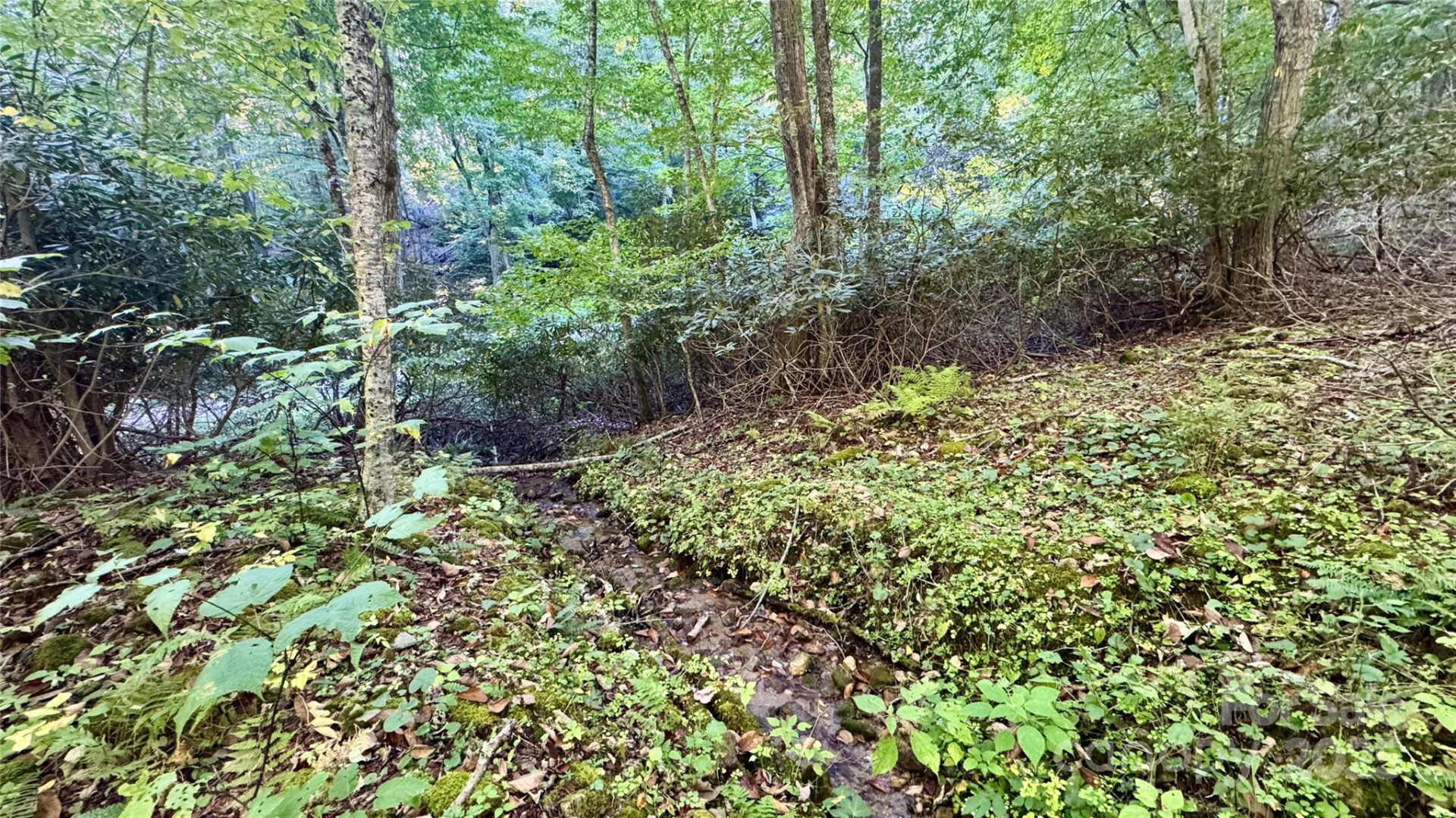 191 Ivy Way - Photo 39