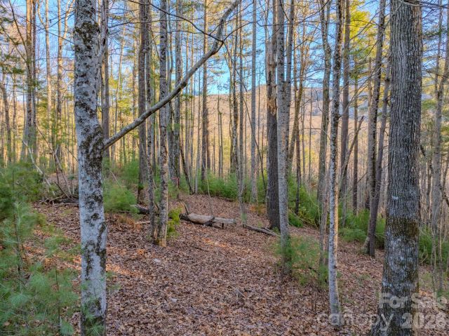 Lots 37 & 38 Settlers Ridge Road