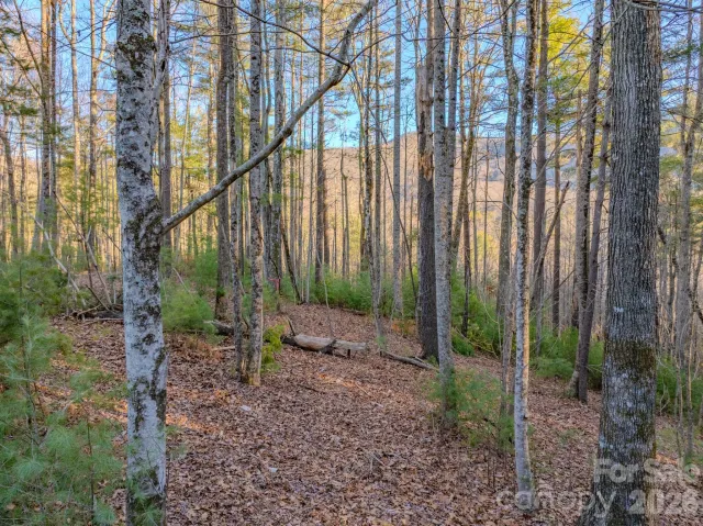 Lots 37 & 38 Settlers Ridge Road