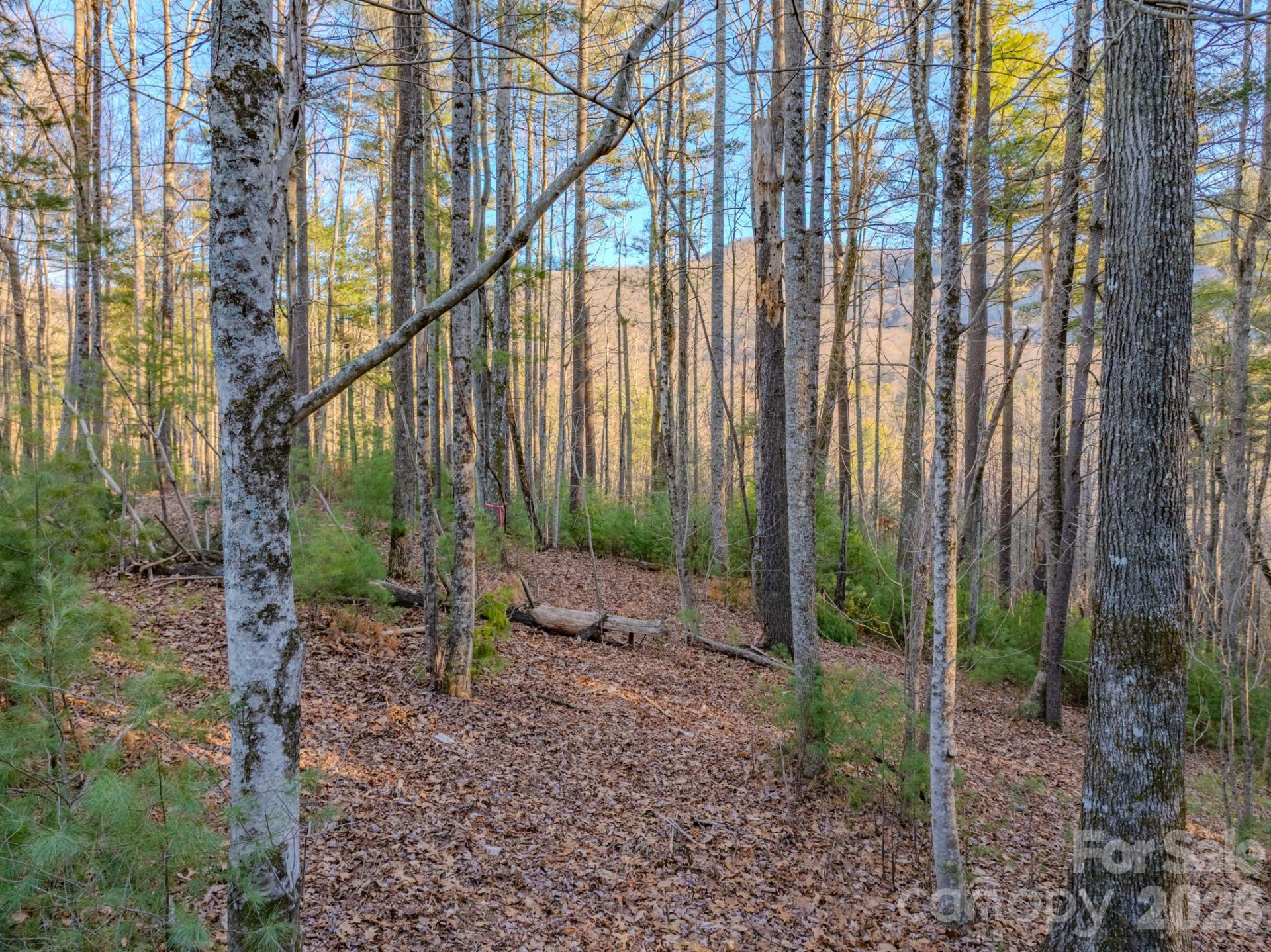 Lots 37 & 38 Settlers Ridge Road