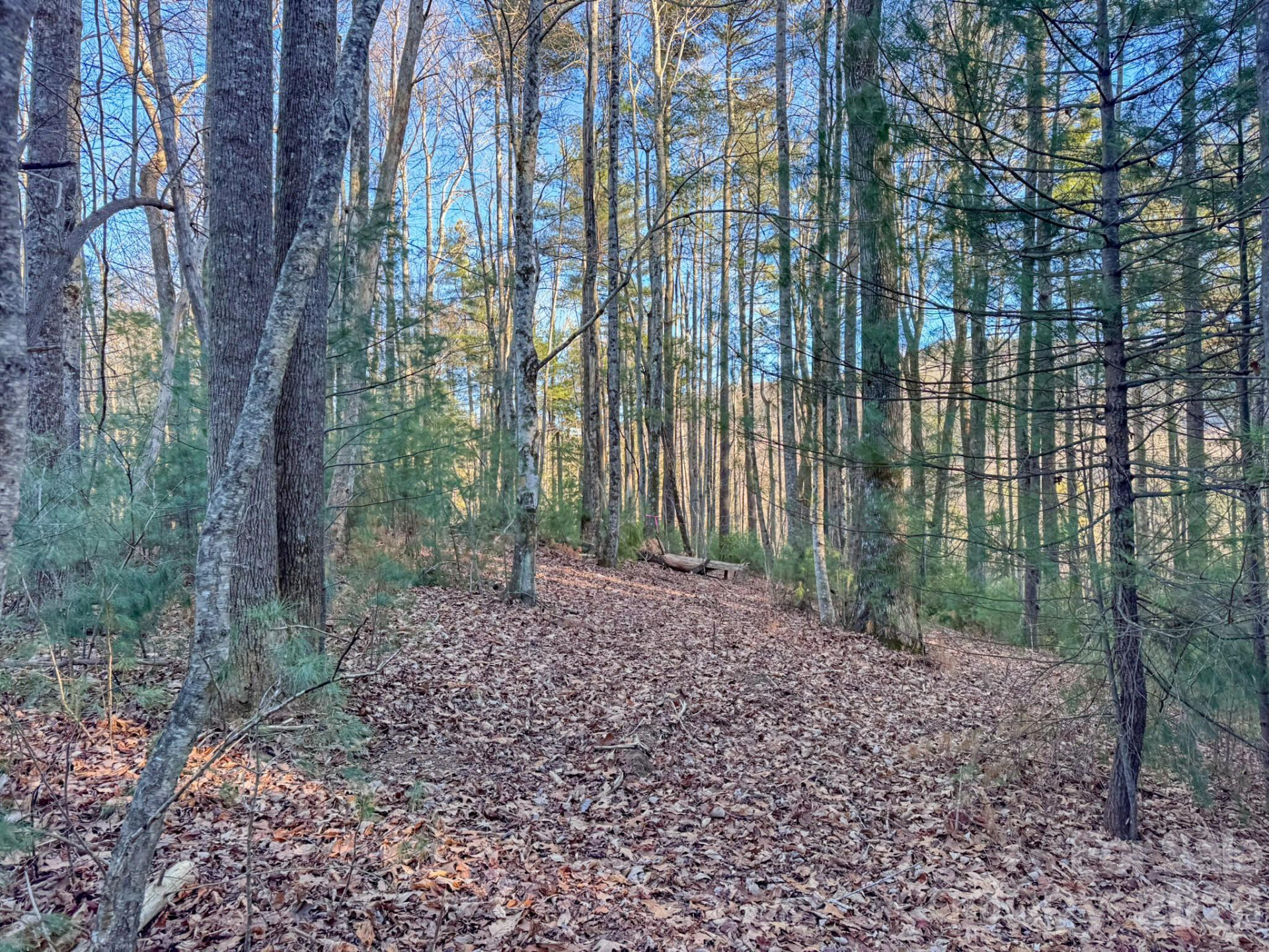 Lots 37 & 38 Settlers Ridge Road - Photo 2