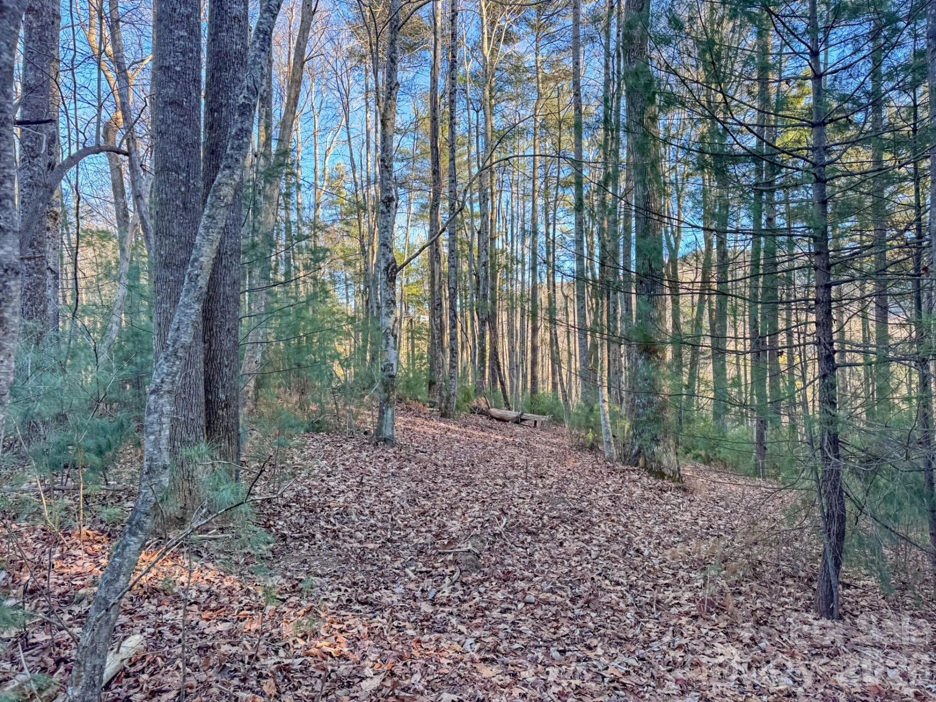 Lots 37 & 38 Settlers Ridge Road - Photo 2
