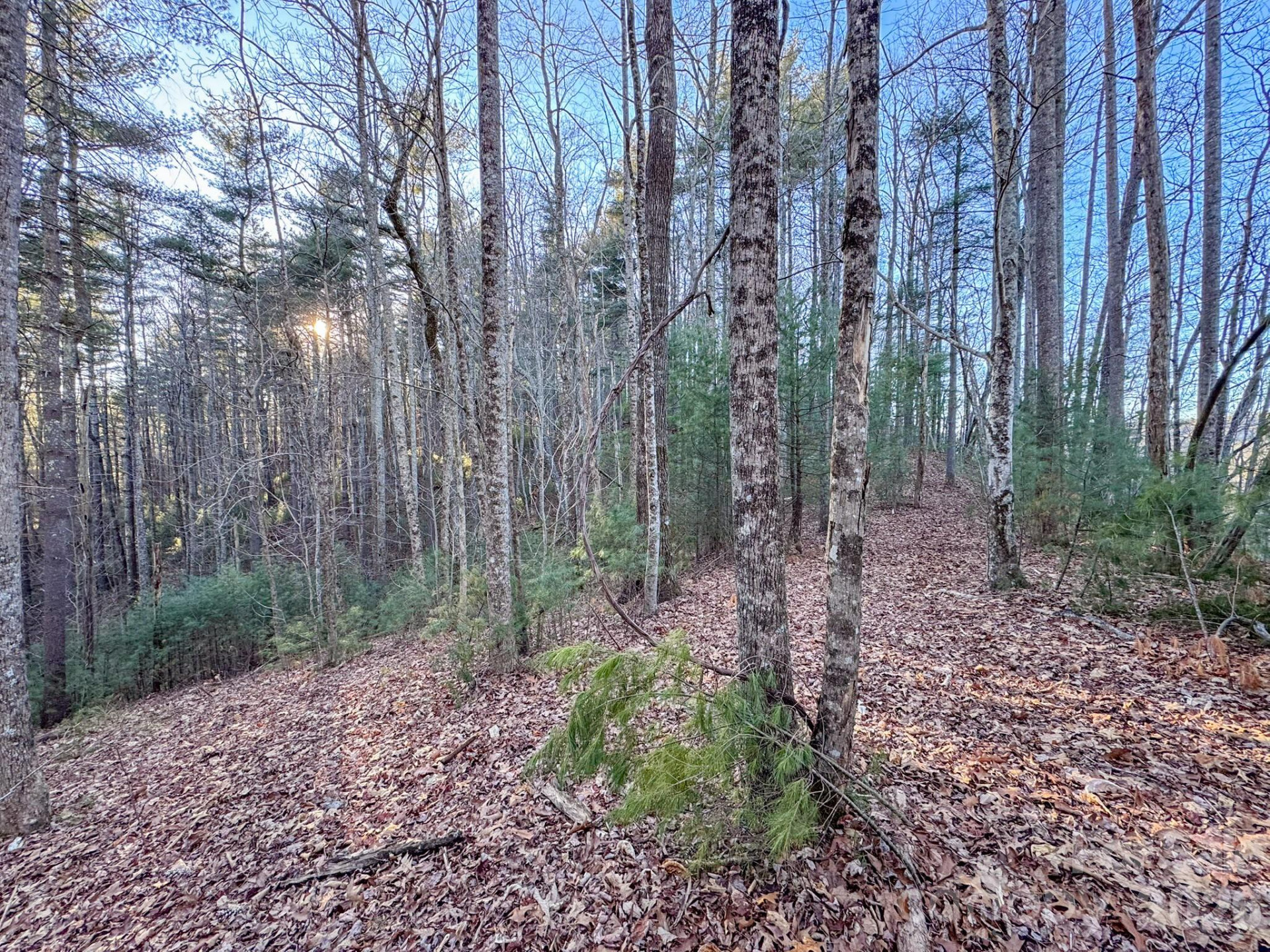 Lots 37 & 38 Settlers Ridge Road - Photo 12