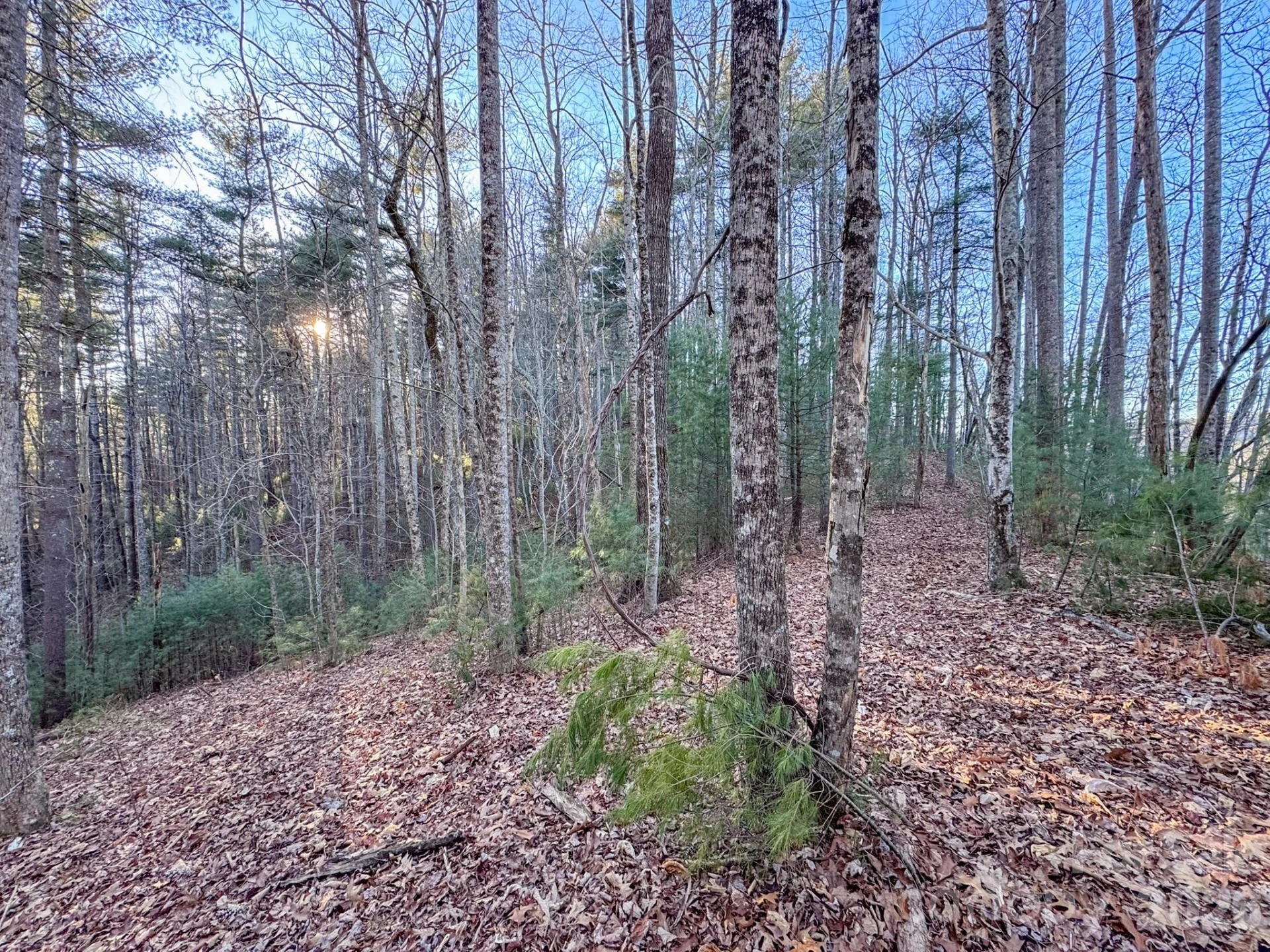 Lots 37 & 38 Settlers Ridge Road - Photo 12