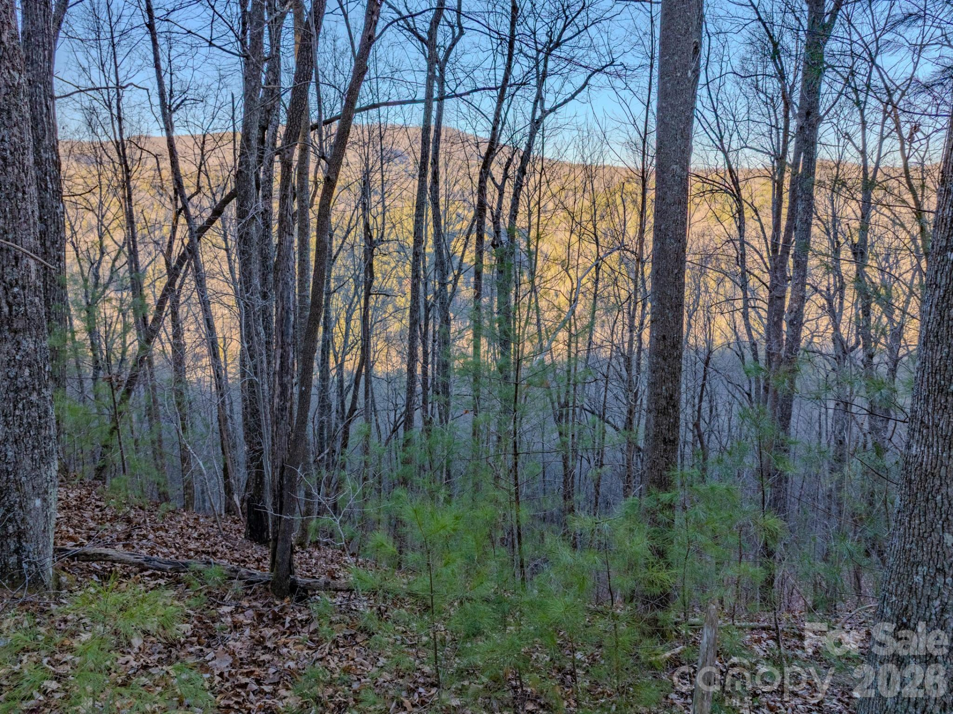 Lots 37 & 38 Settlers Ridge Road - Photo 13