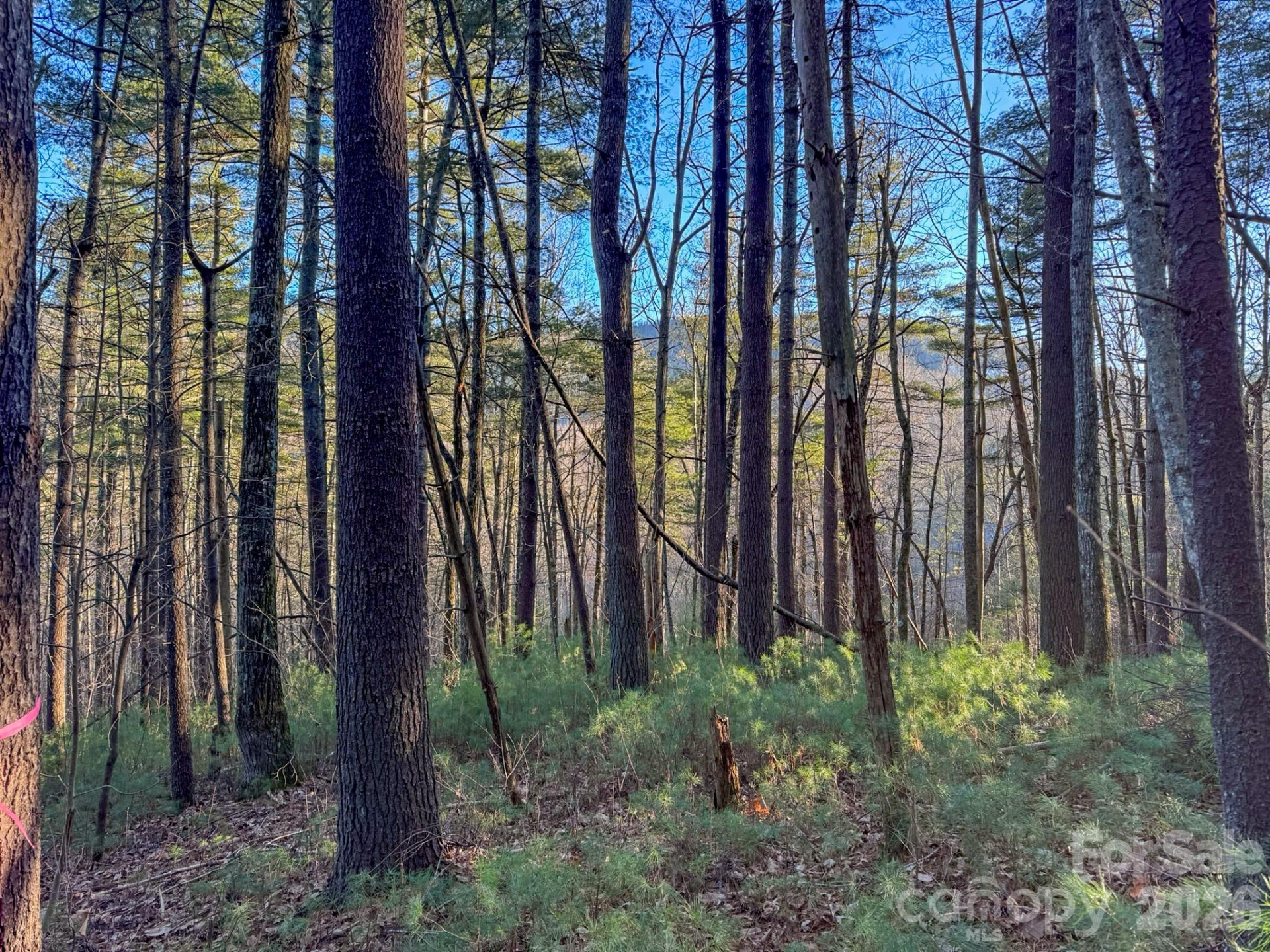 Lots 37 & 38 Settlers Ridge Road - Photo 14