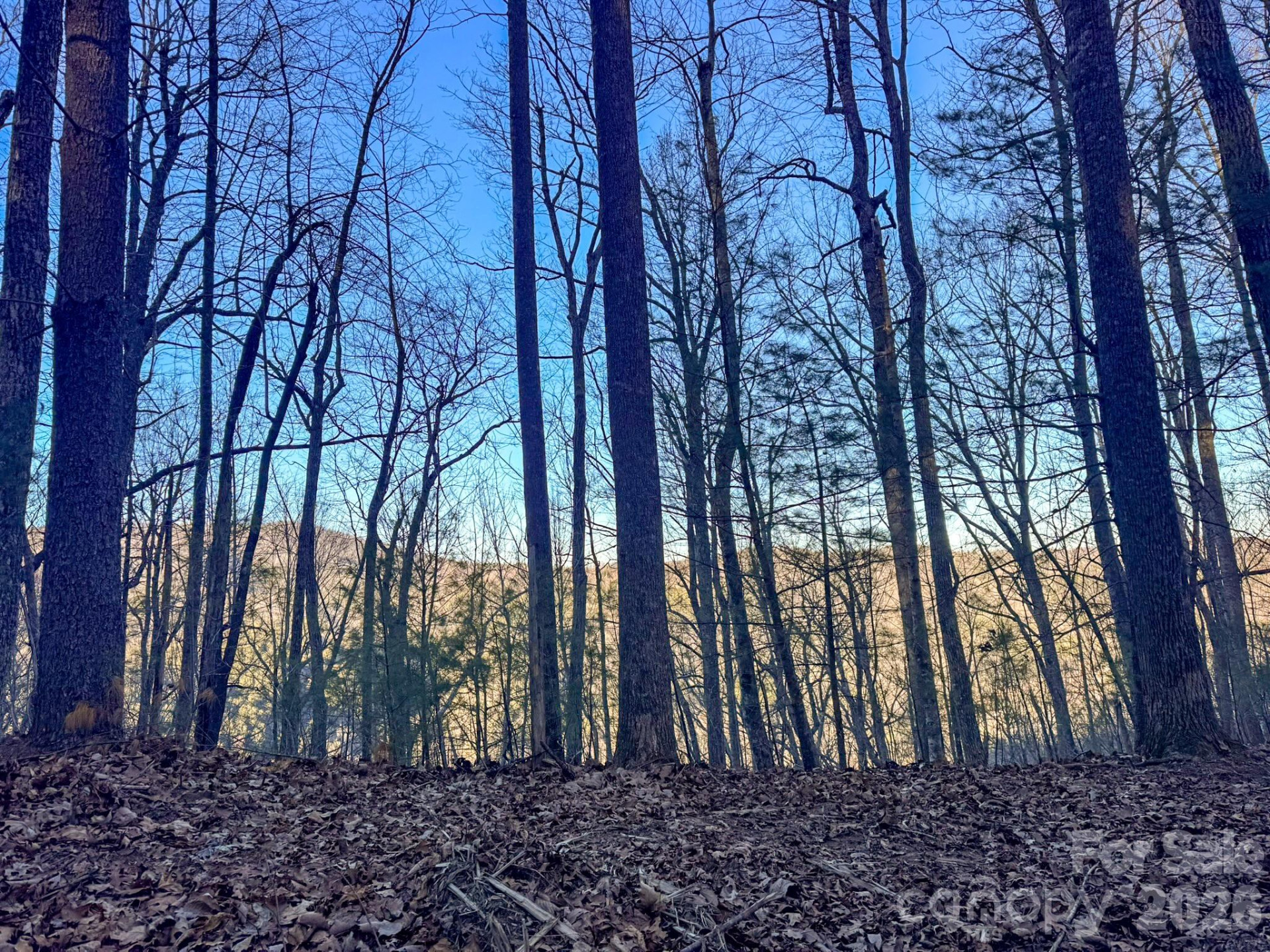 Lots 37 & 38 Settlers Ridge Road - Photo 17