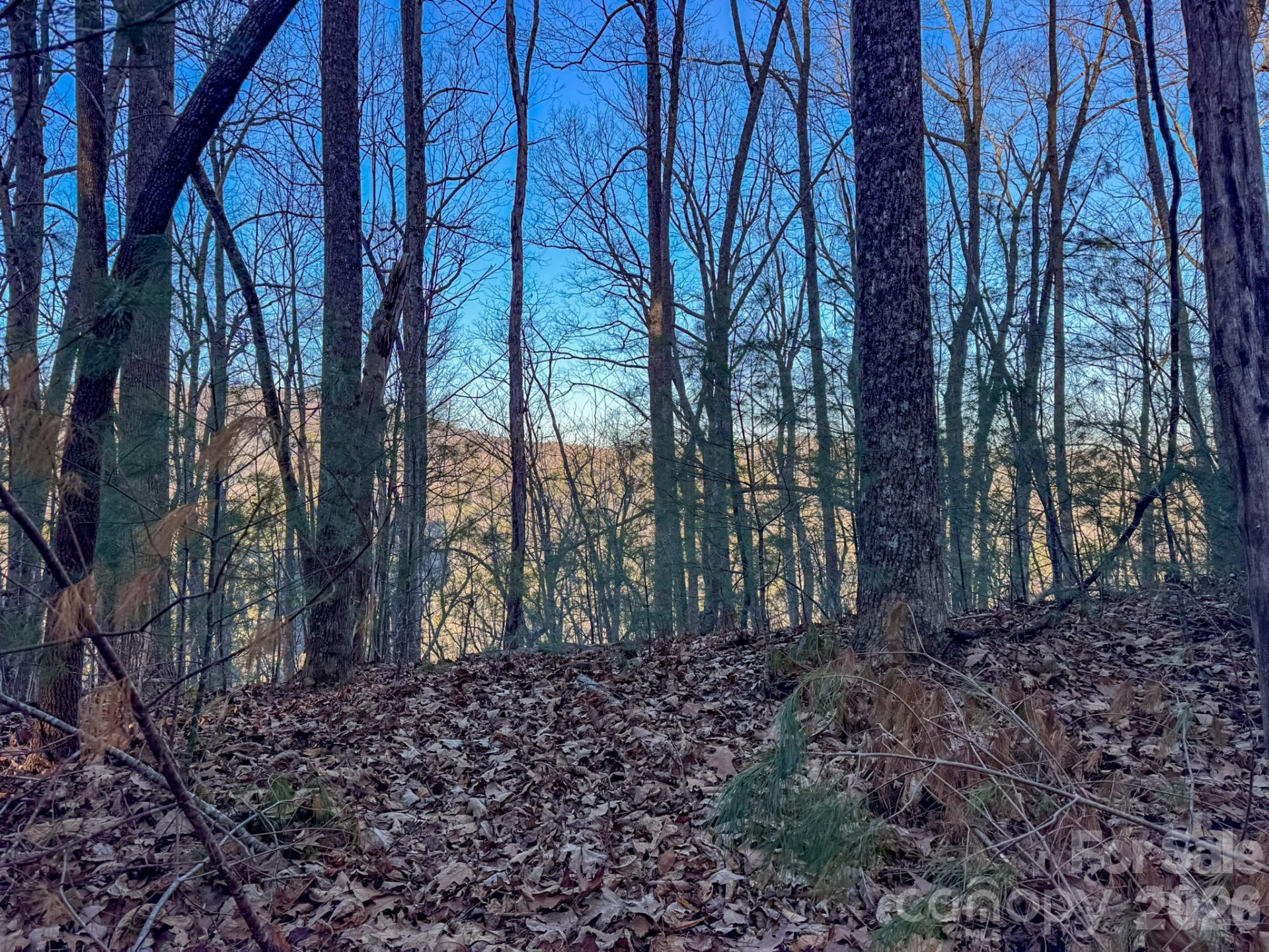 Lots 37 & 38 Settlers Ridge Road - Photo 18