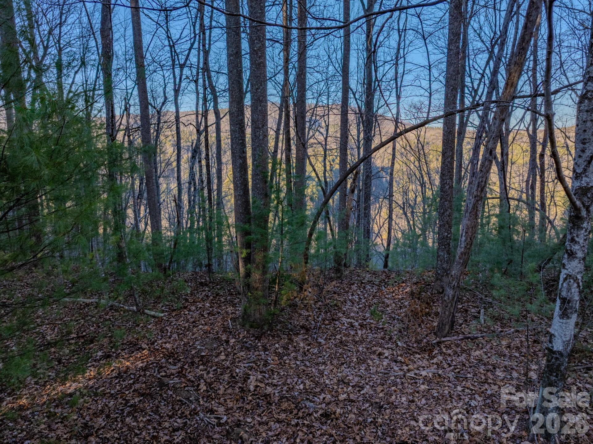 Lots 37 & 38 Settlers Ridge Road - Photo 20