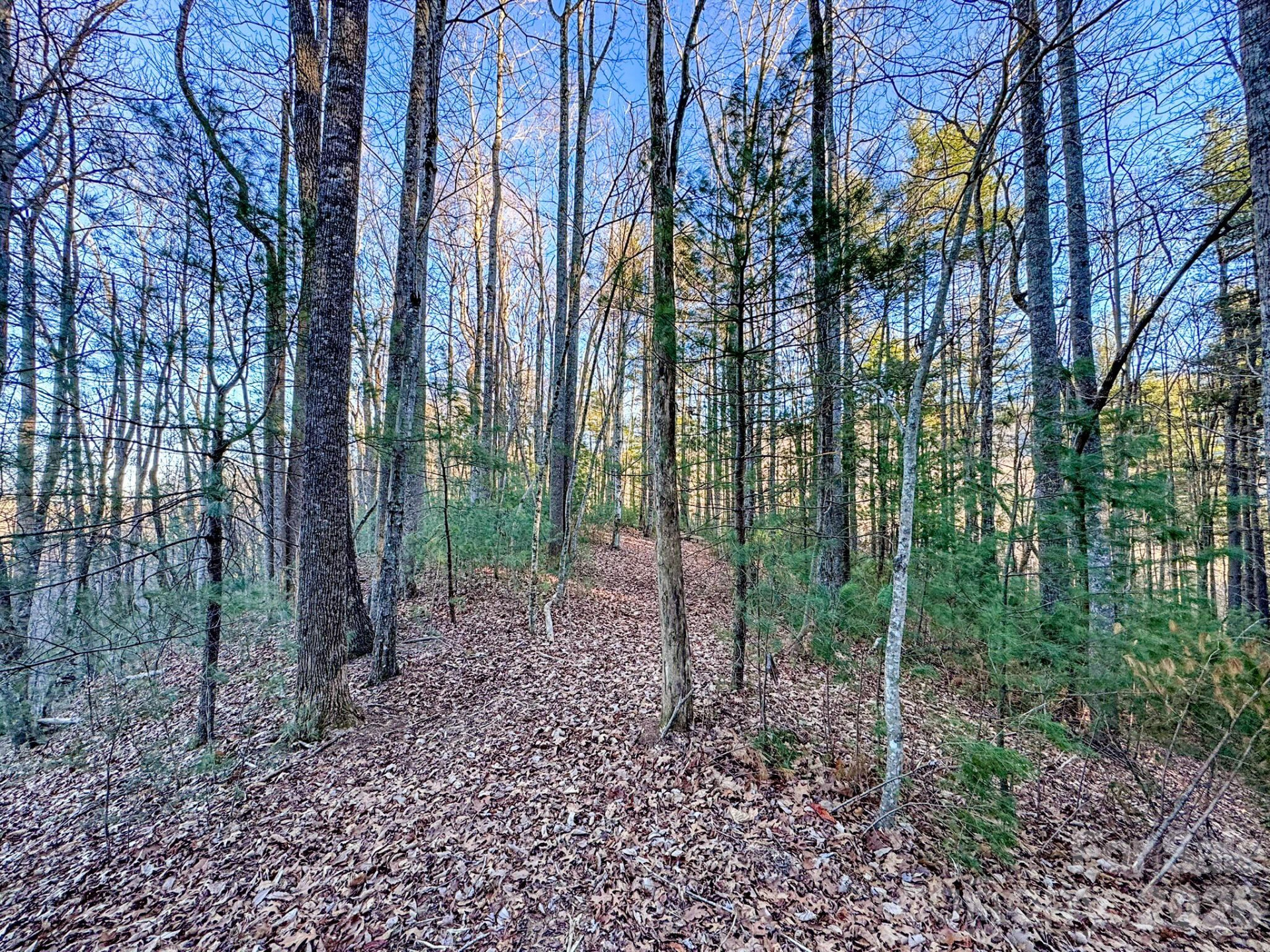 Lots 37 & 38 Settlers Ridge Road - Photo 3