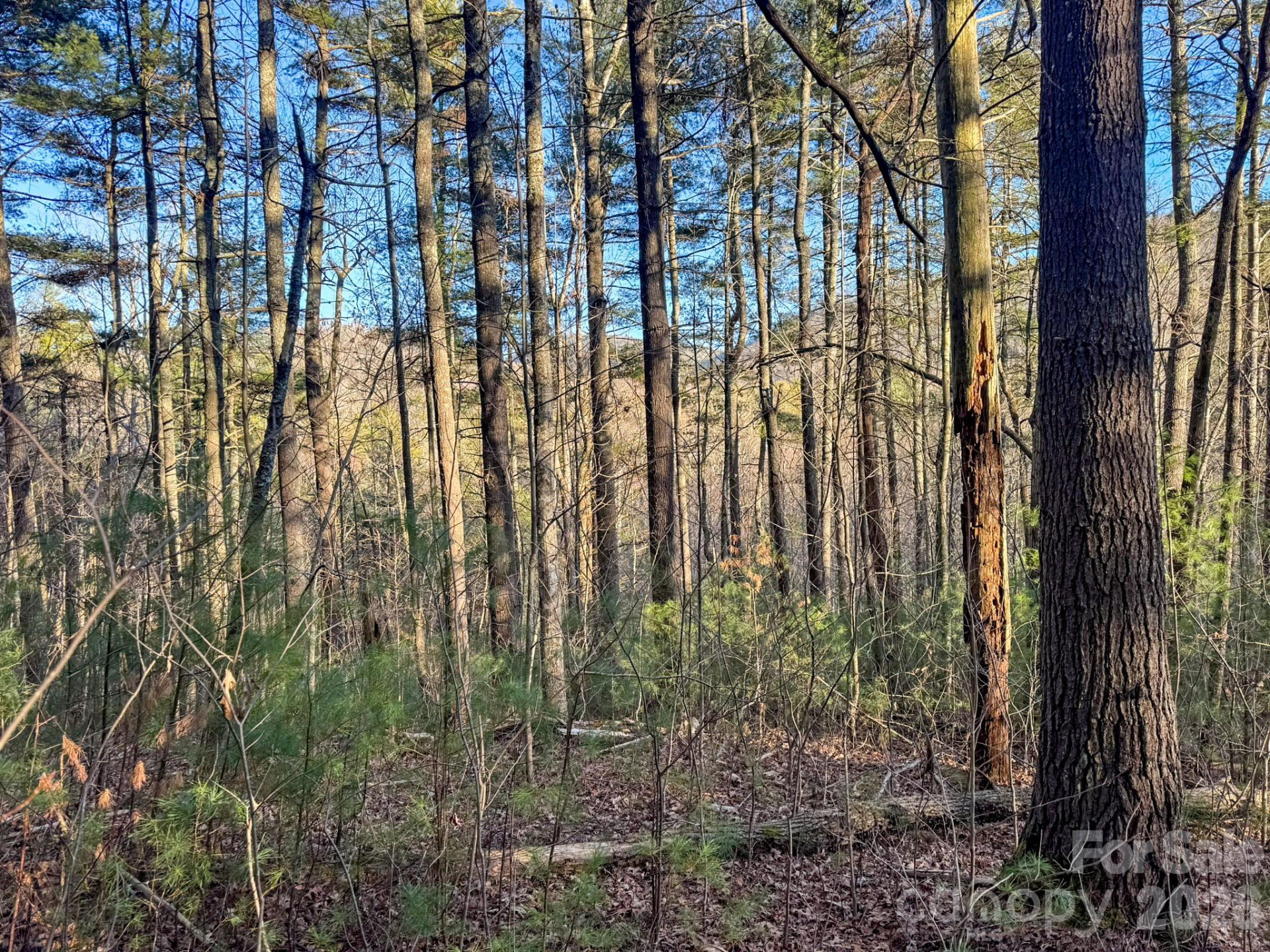 Lots 37 & 38 Settlers Ridge Road - Photo 21