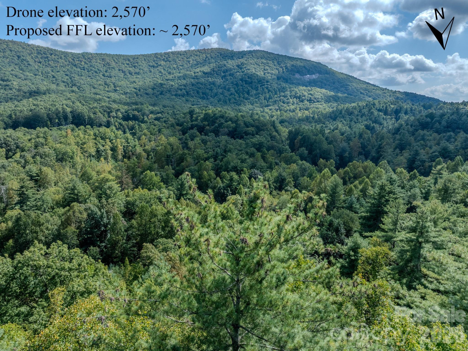 Lots 37 & 38 Settlers Ridge Road - Photo 23