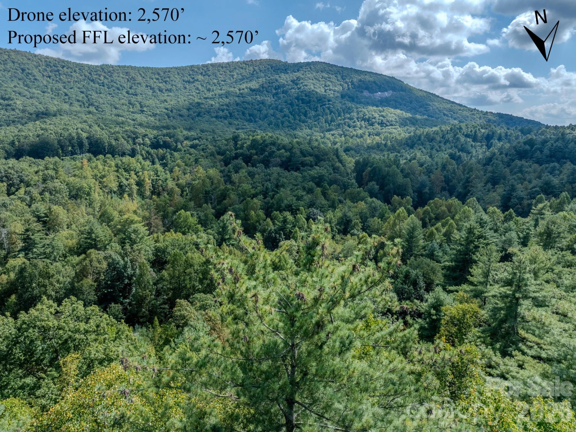 Lots 37 & 38 Settlers Ridge Road - Photo 23