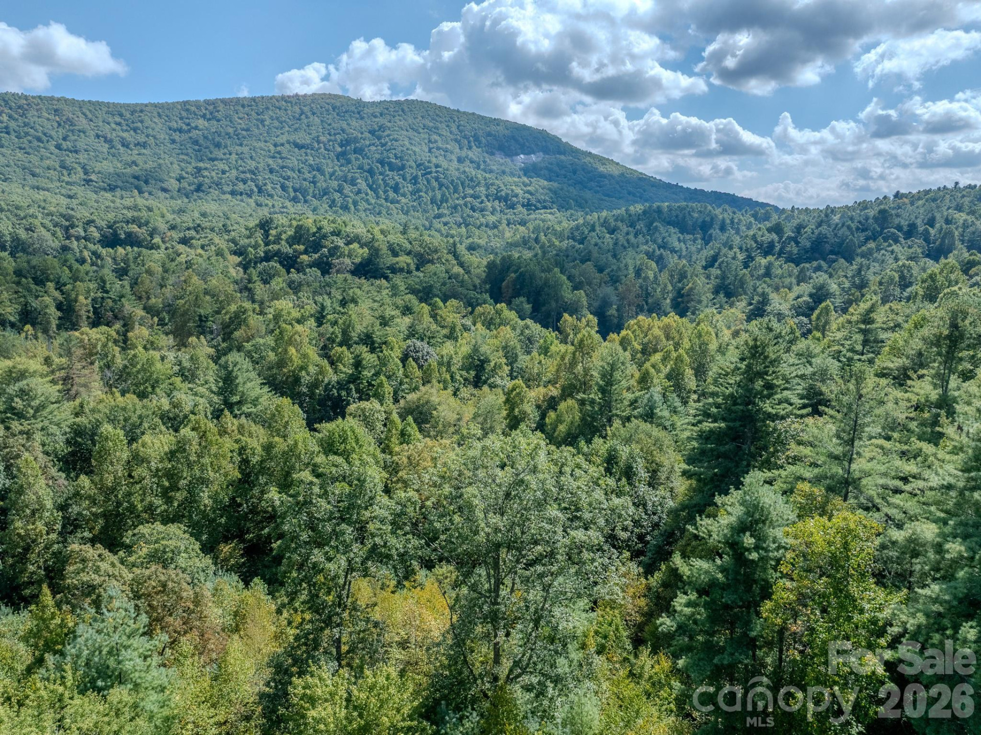 Lots 37 & 38 Settlers Ridge Road - Photo 26