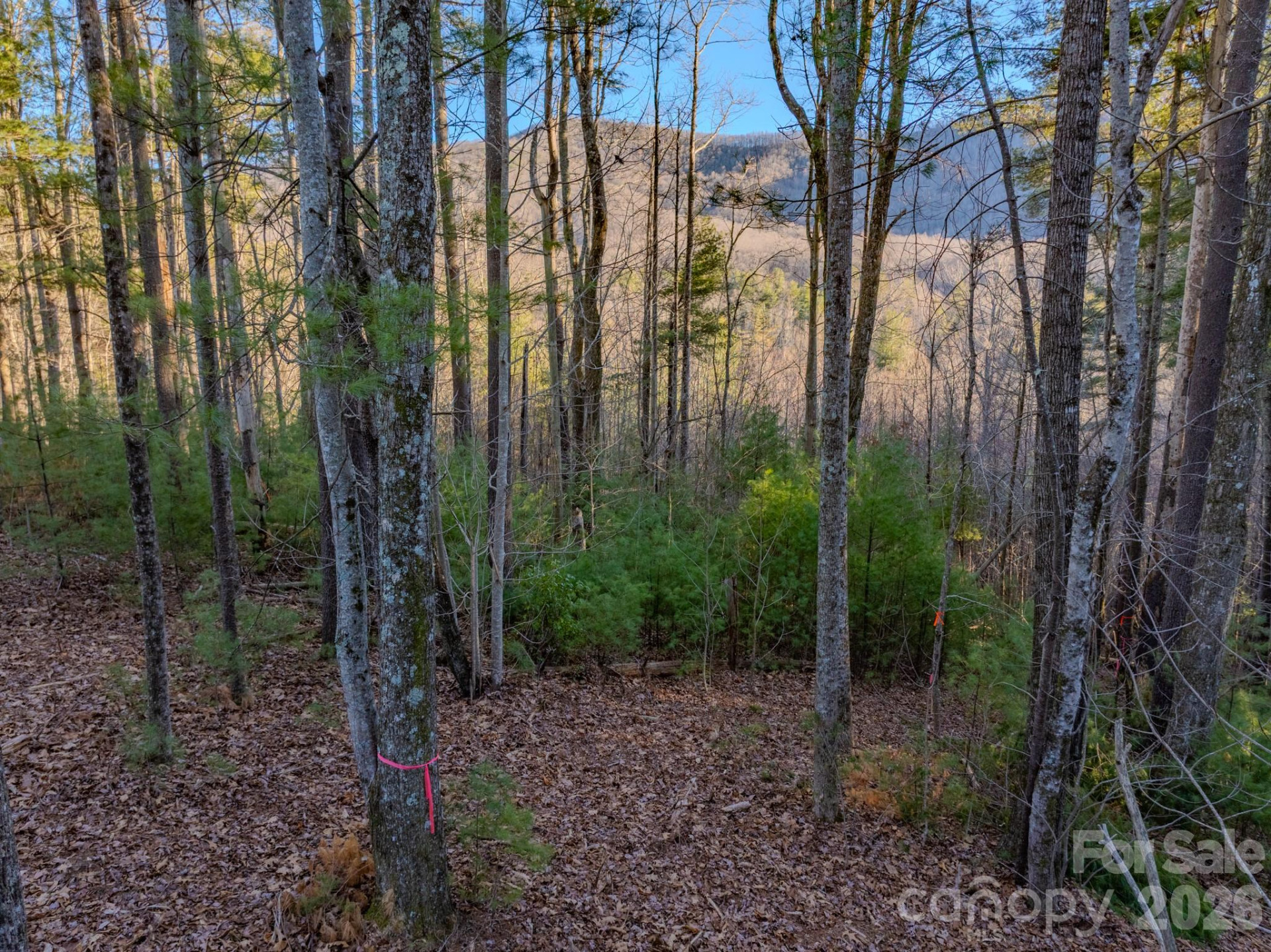 Lots 37 & 38 Settlers Ridge Road - Photo 4