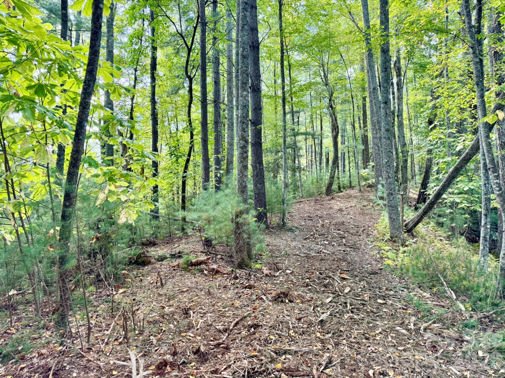 Lots 37 & 38 Settlers Ridge Road - Photo 43