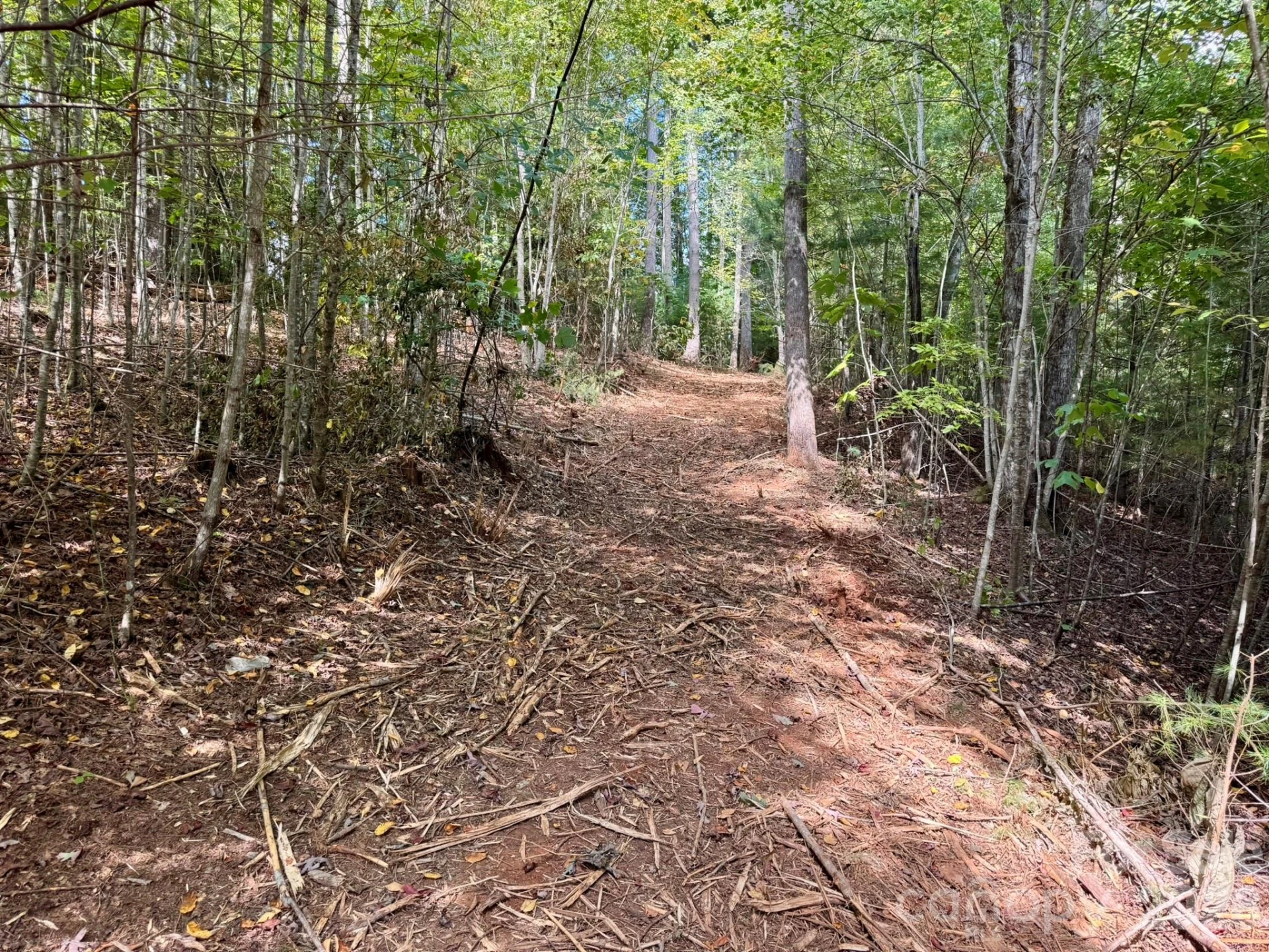 Lots 37 & 38 Settlers Ridge Road - Photo 48