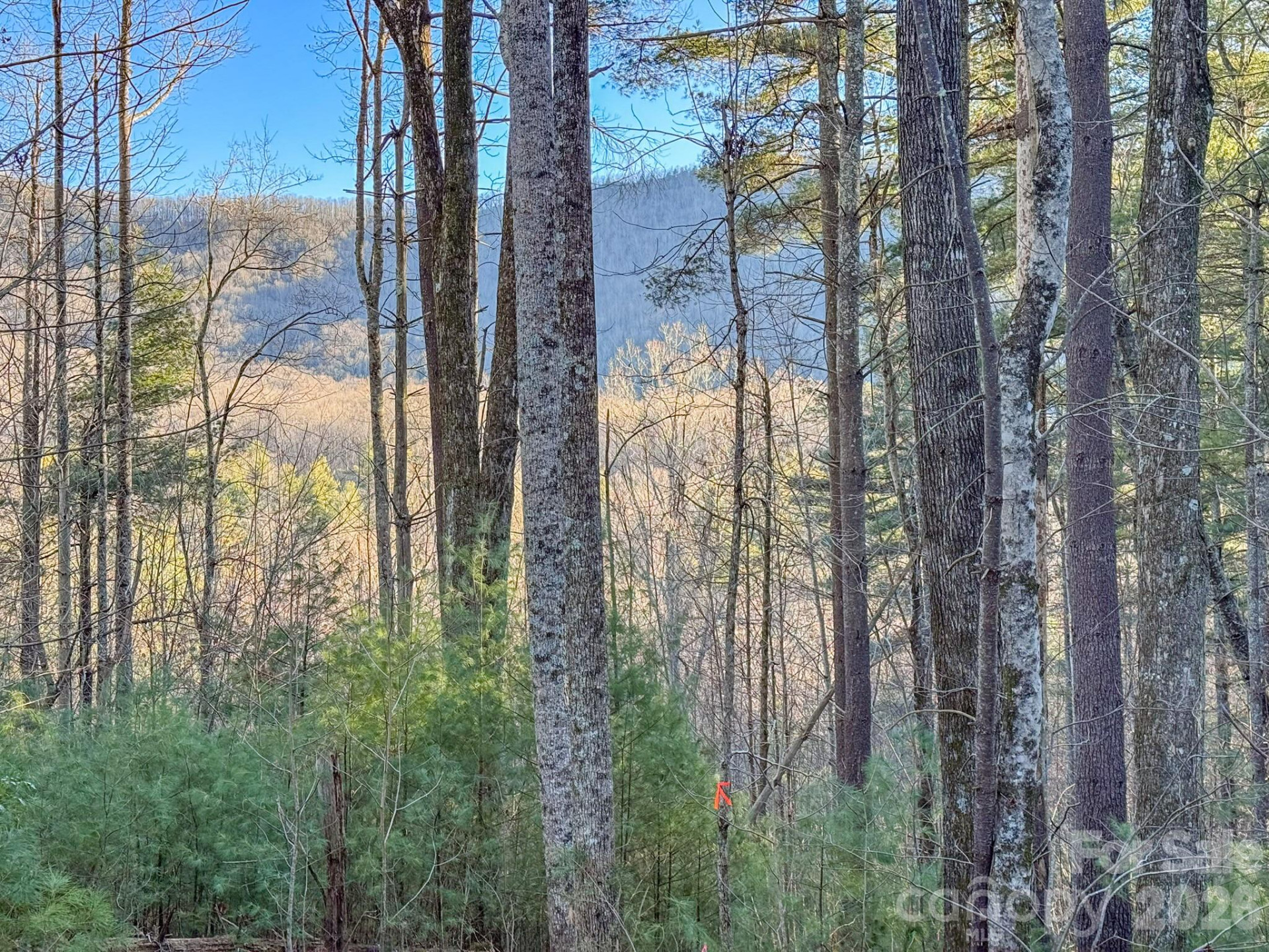 Lots 37 & 38 Settlers Ridge Road - Photo 6