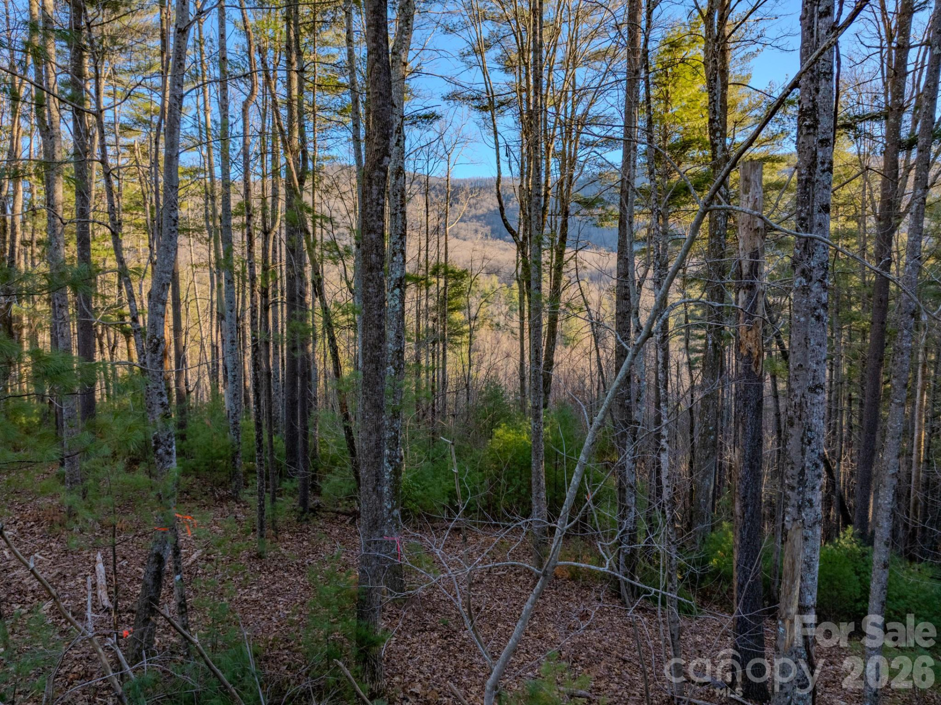 Lots 37 & 38 Settlers Ridge Road - Photo 7