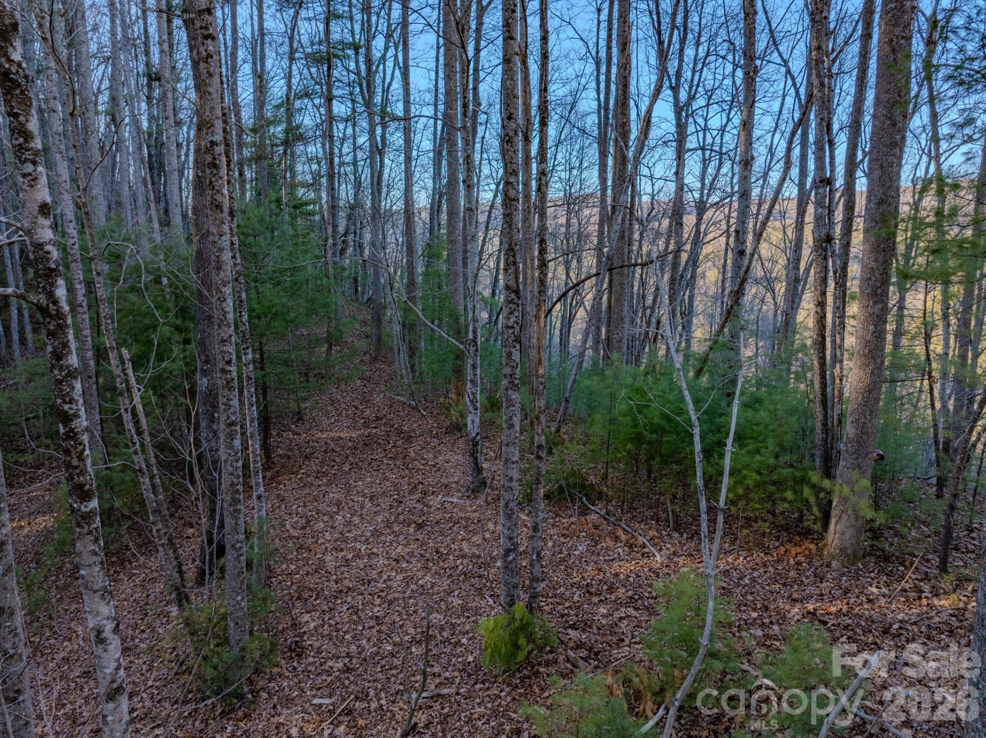 Lots 37 & 38 Settlers Ridge Road - Photo 8