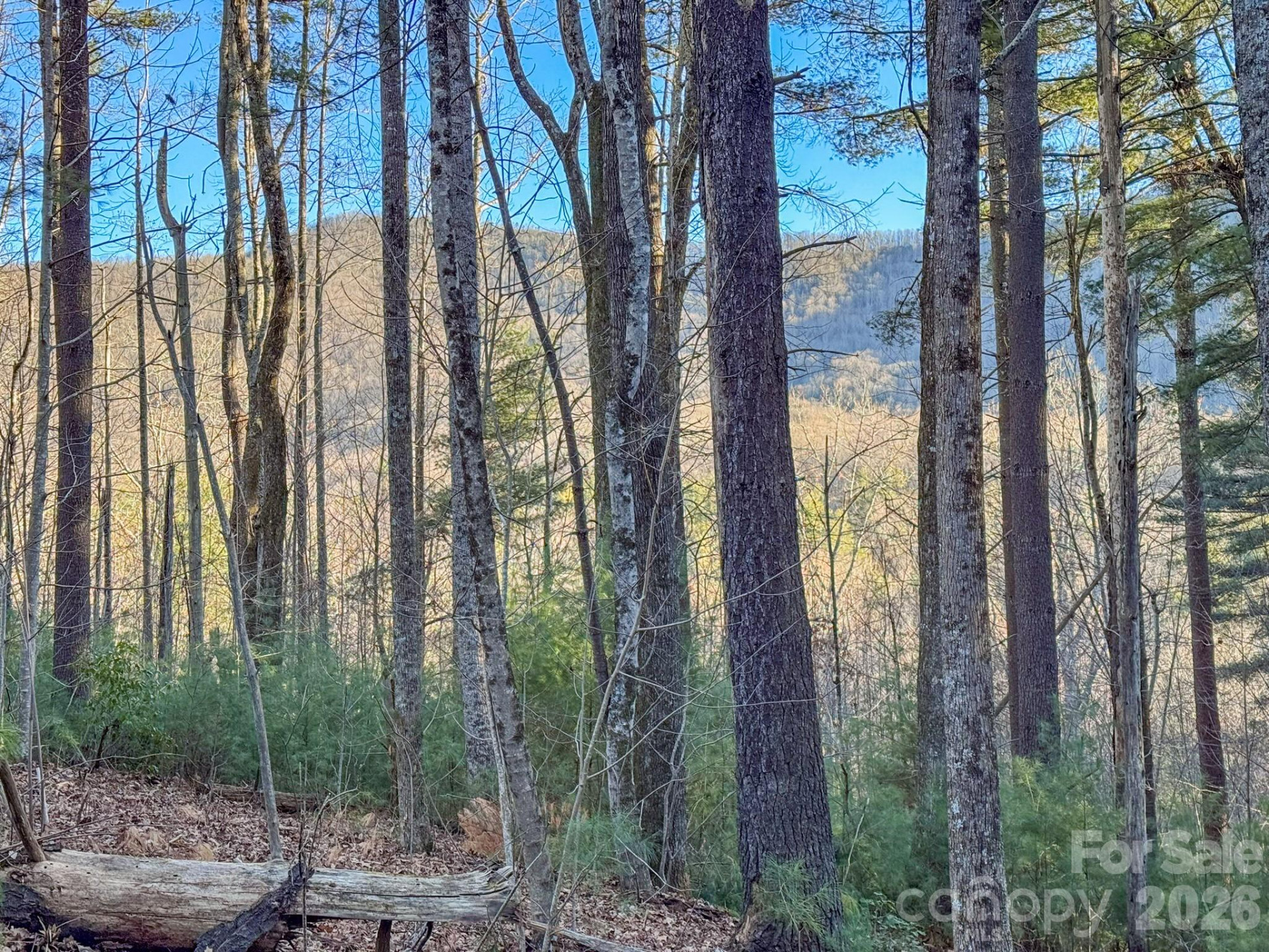 Lots 37 & 38 Settlers Ridge Road - Photo 9