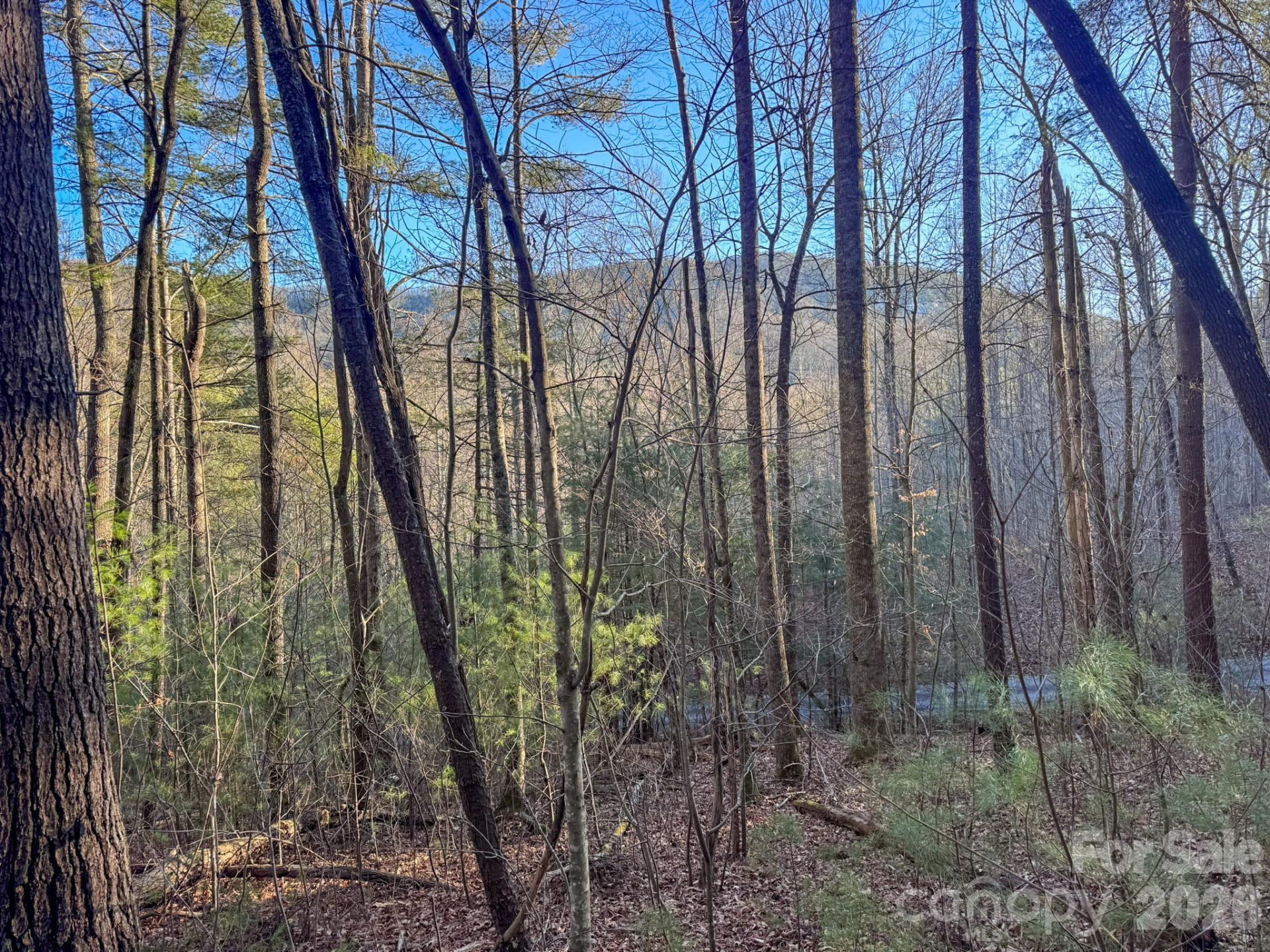 Lots 37 & 38 Settlers Ridge Road - Photo 10