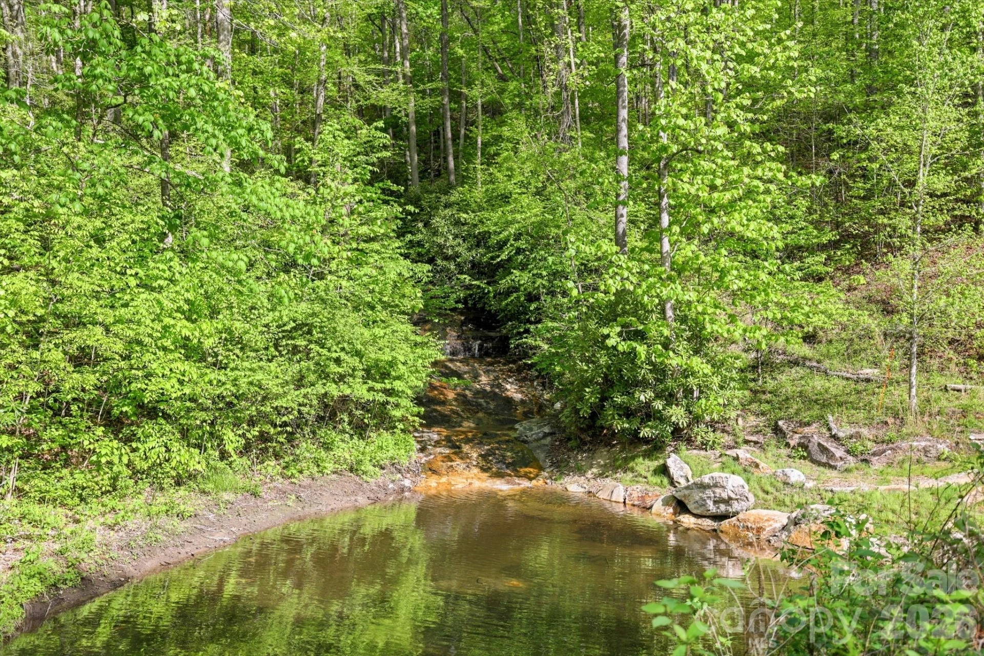 31 Waterdance Drive - Photo 24