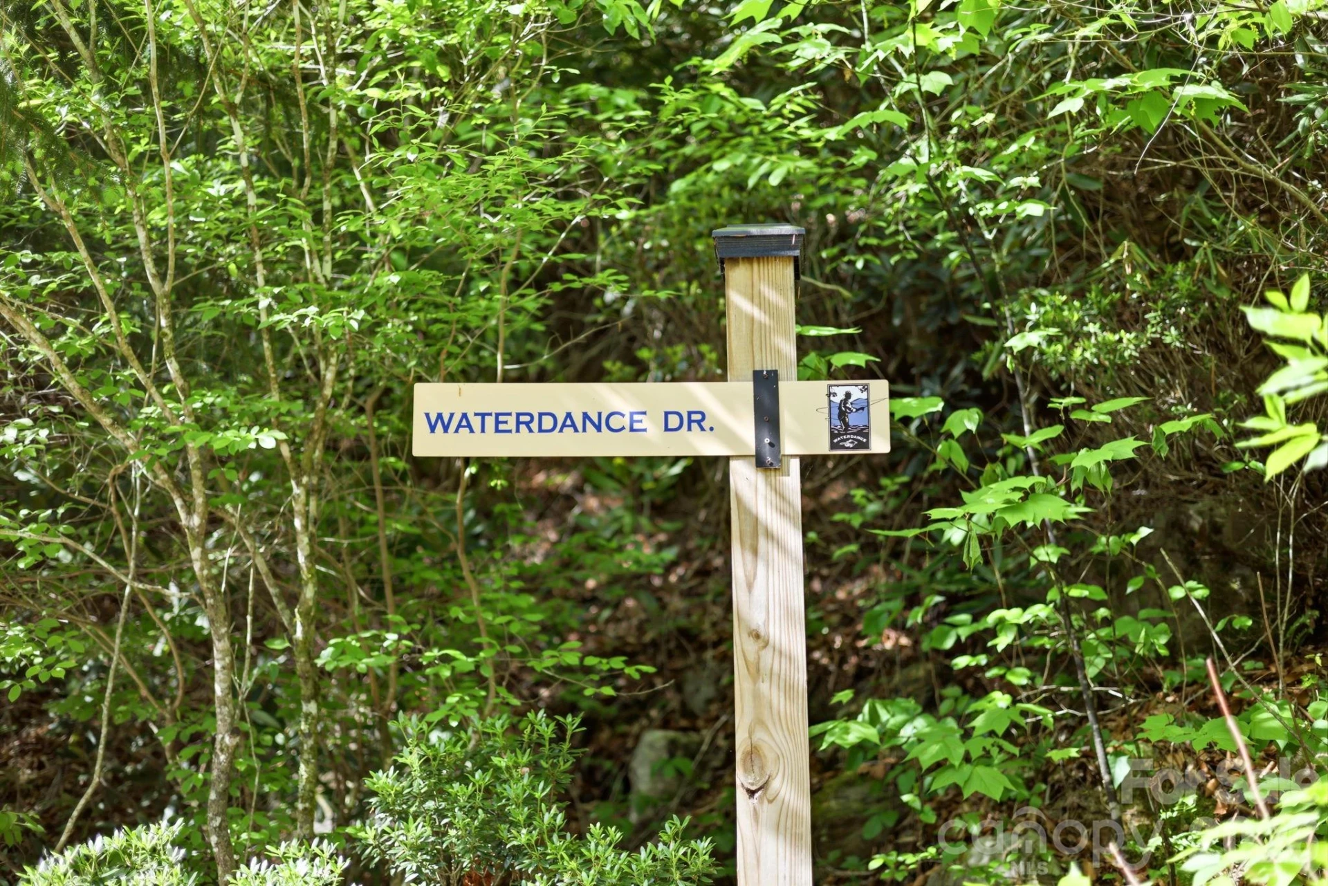 31 Waterdance Drive - Photo 31