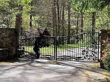 31 Waterdance Drive - Photo 3