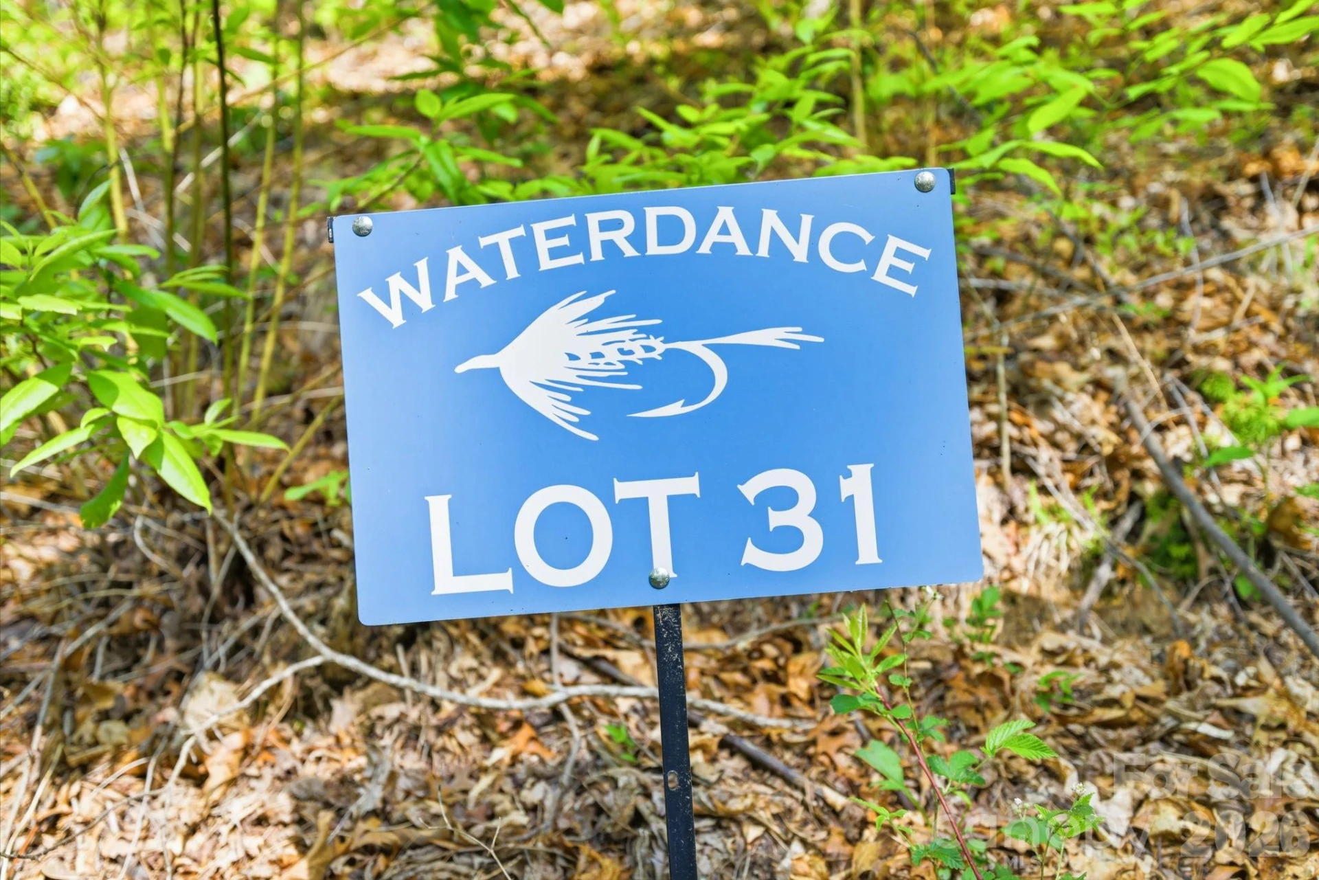 31 Waterdance Drive - Photo 32