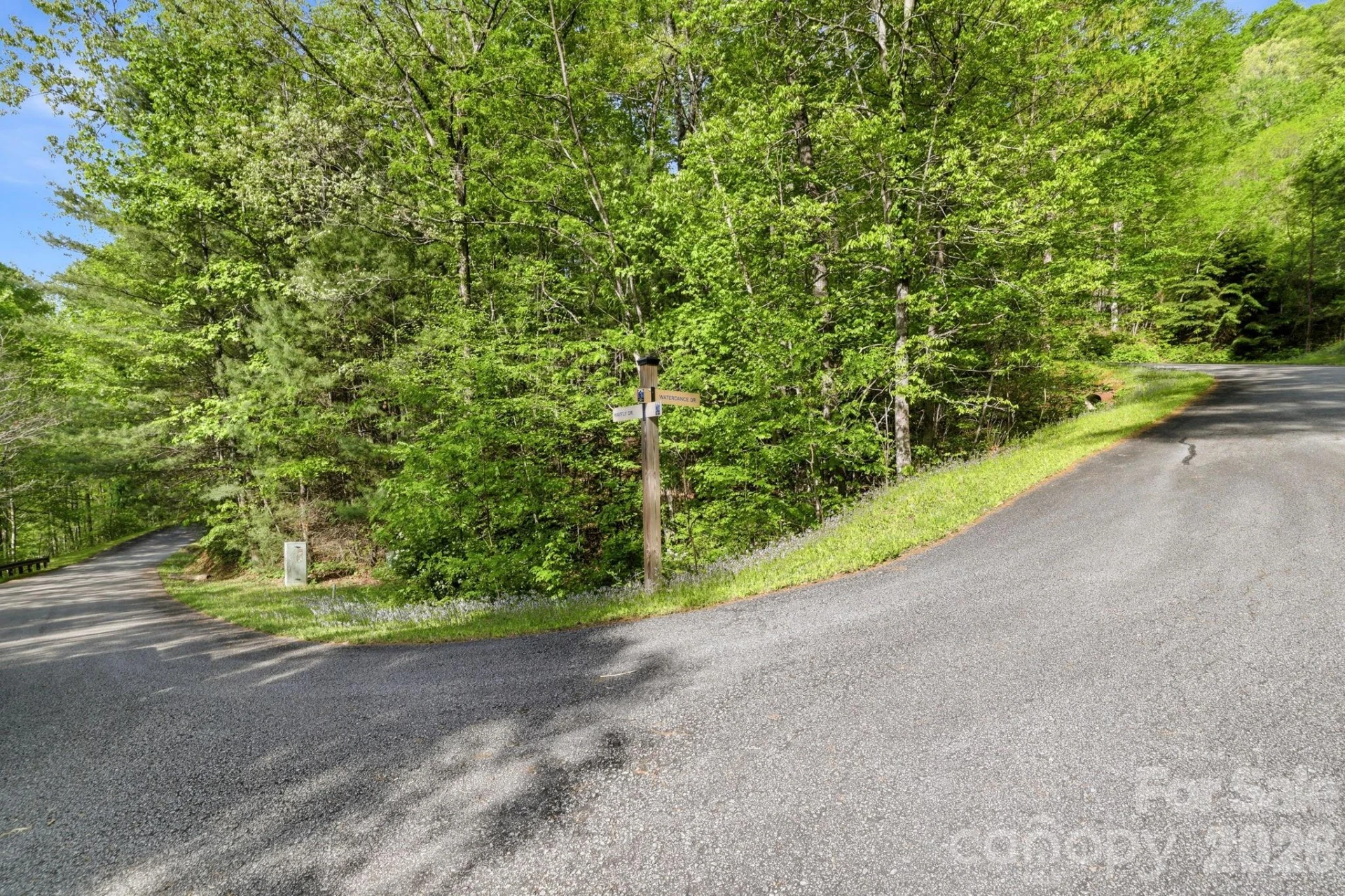 31 Waterdance Drive - Photo 36