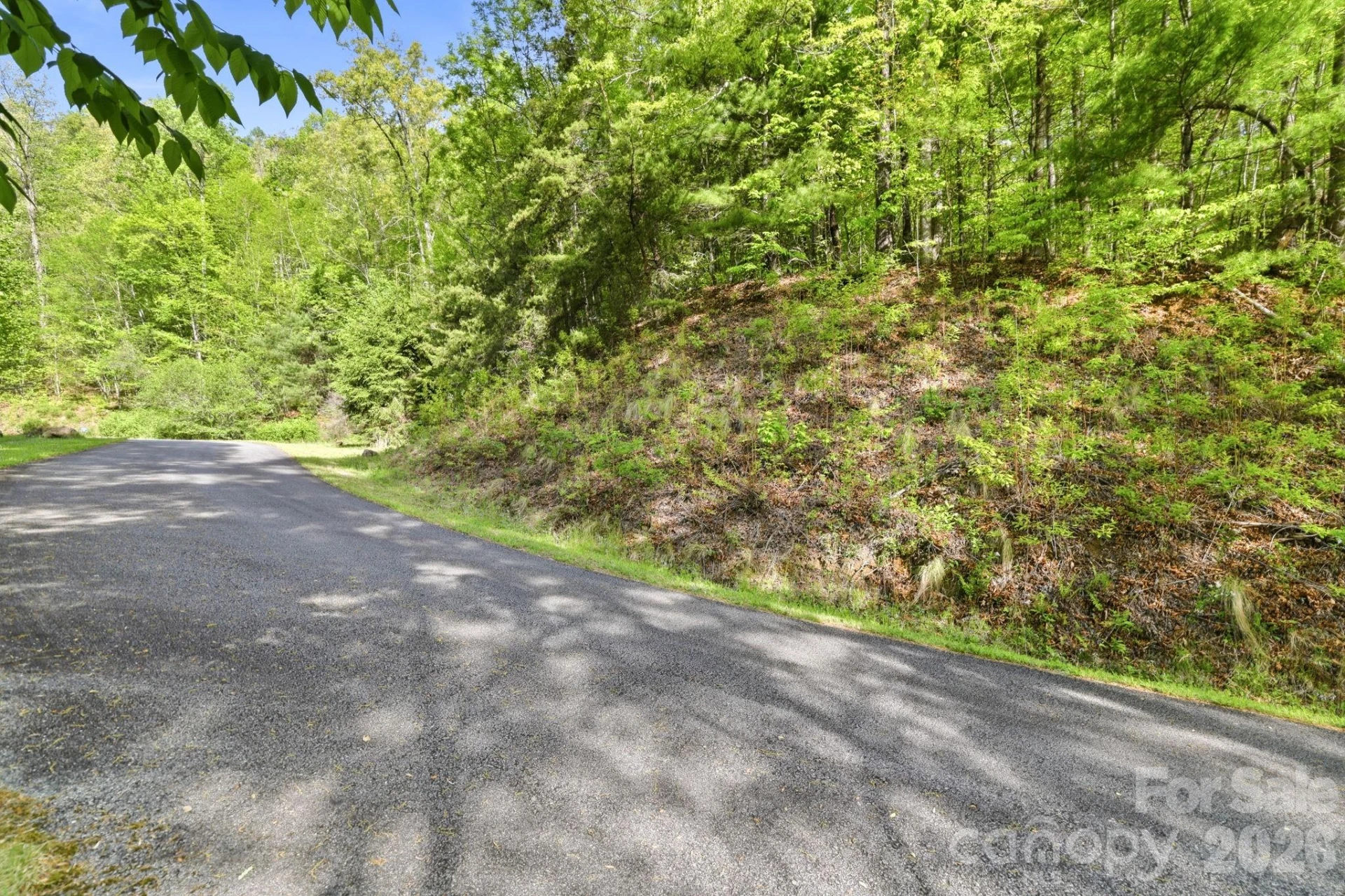 31 Waterdance Drive - Photo 37