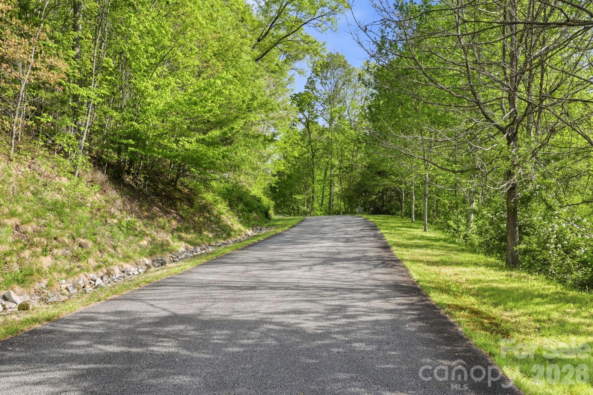 31 Waterdance Drive - Photo 43