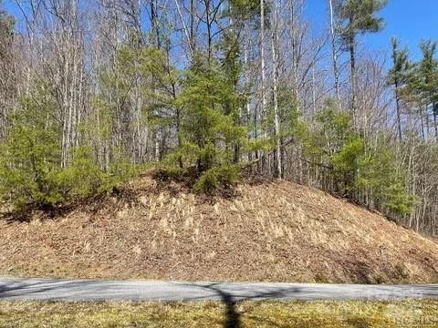 31 Waterdance Drive - Photo 6