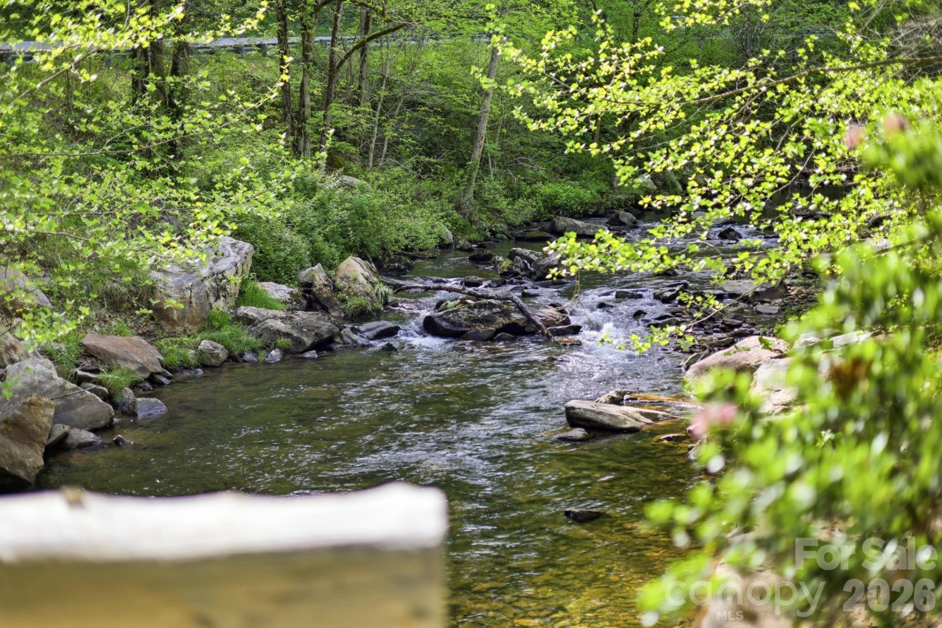 31 Waterdance Drive - Photo 11