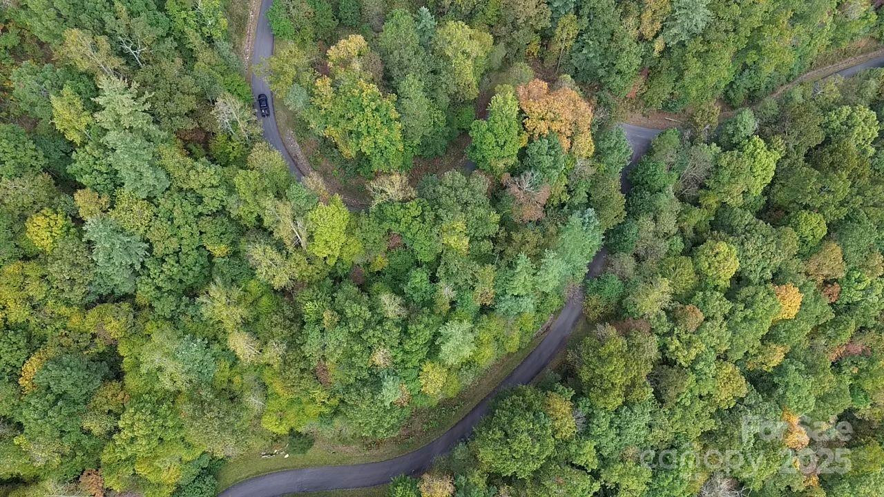 31 Waterdance Drive - Photo 10