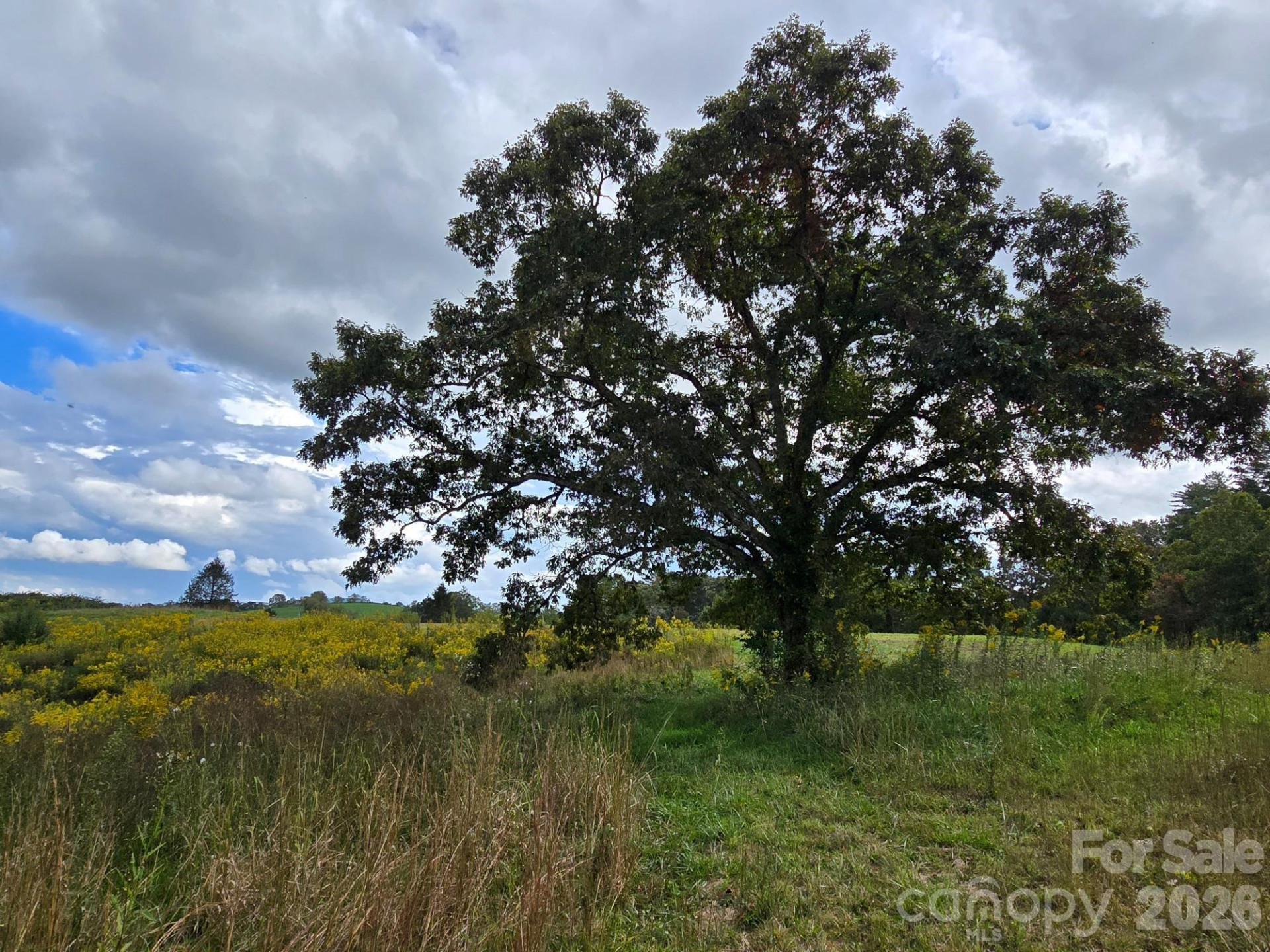 128 Cook Lane - Photo 3